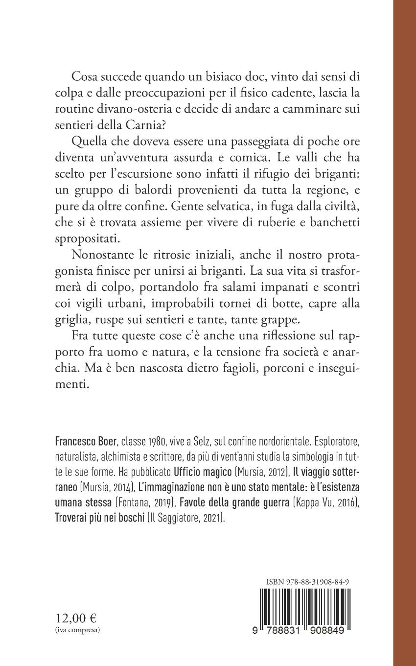 Rückseitencover I briganti della Carnia