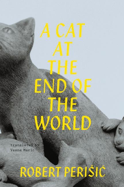 Vorderes Coverbild A Cat at the End of the World