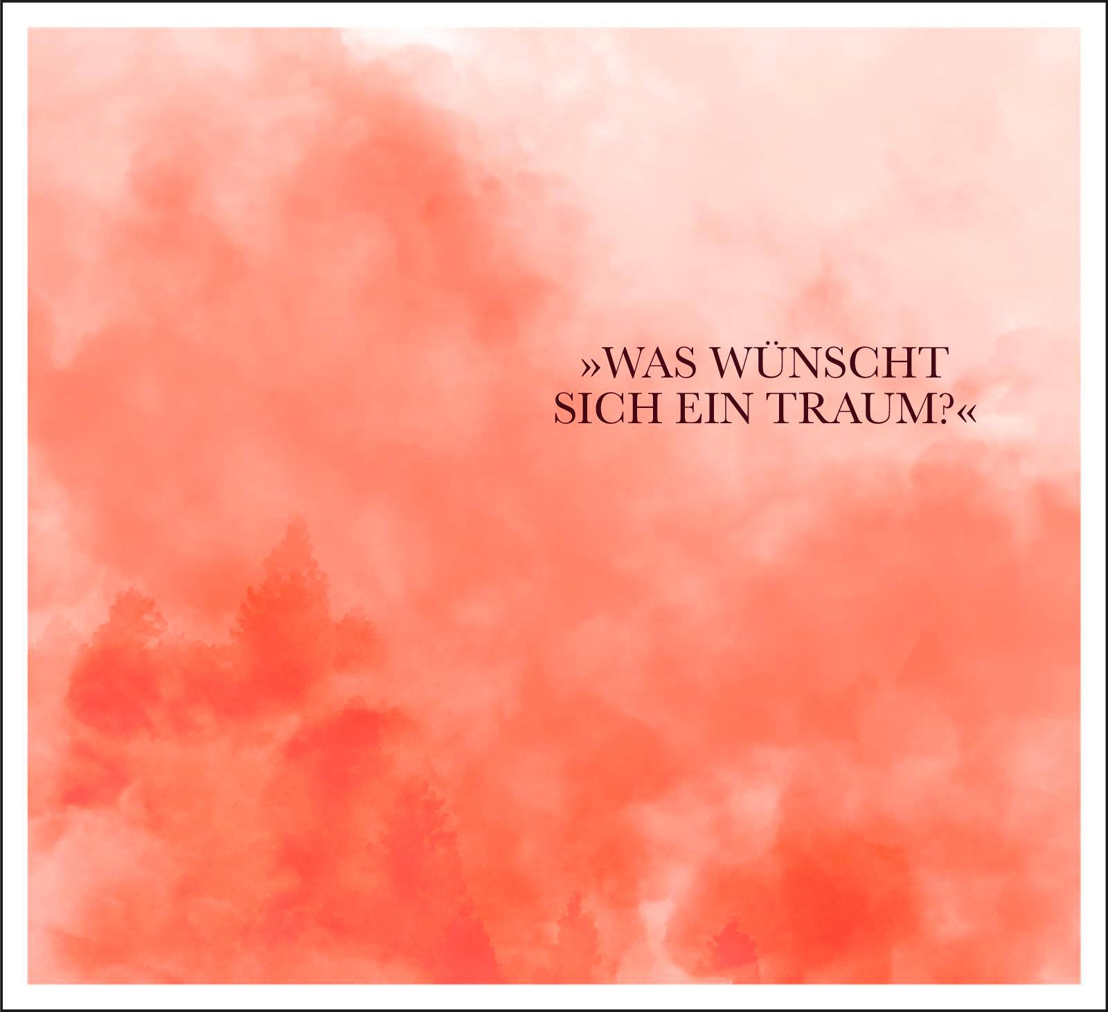 Beispielinhalt (Bild) Wie der Falke fliegt