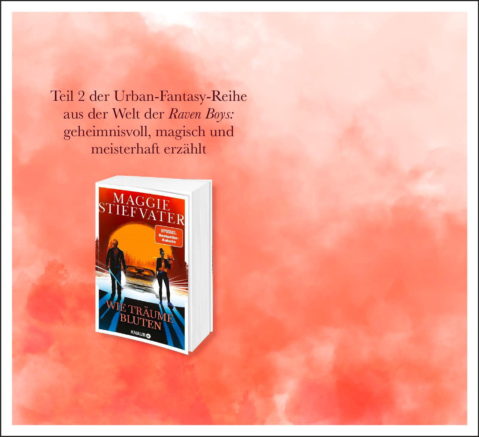 Beispielinhalt (Bild) Wie der Falke fliegt