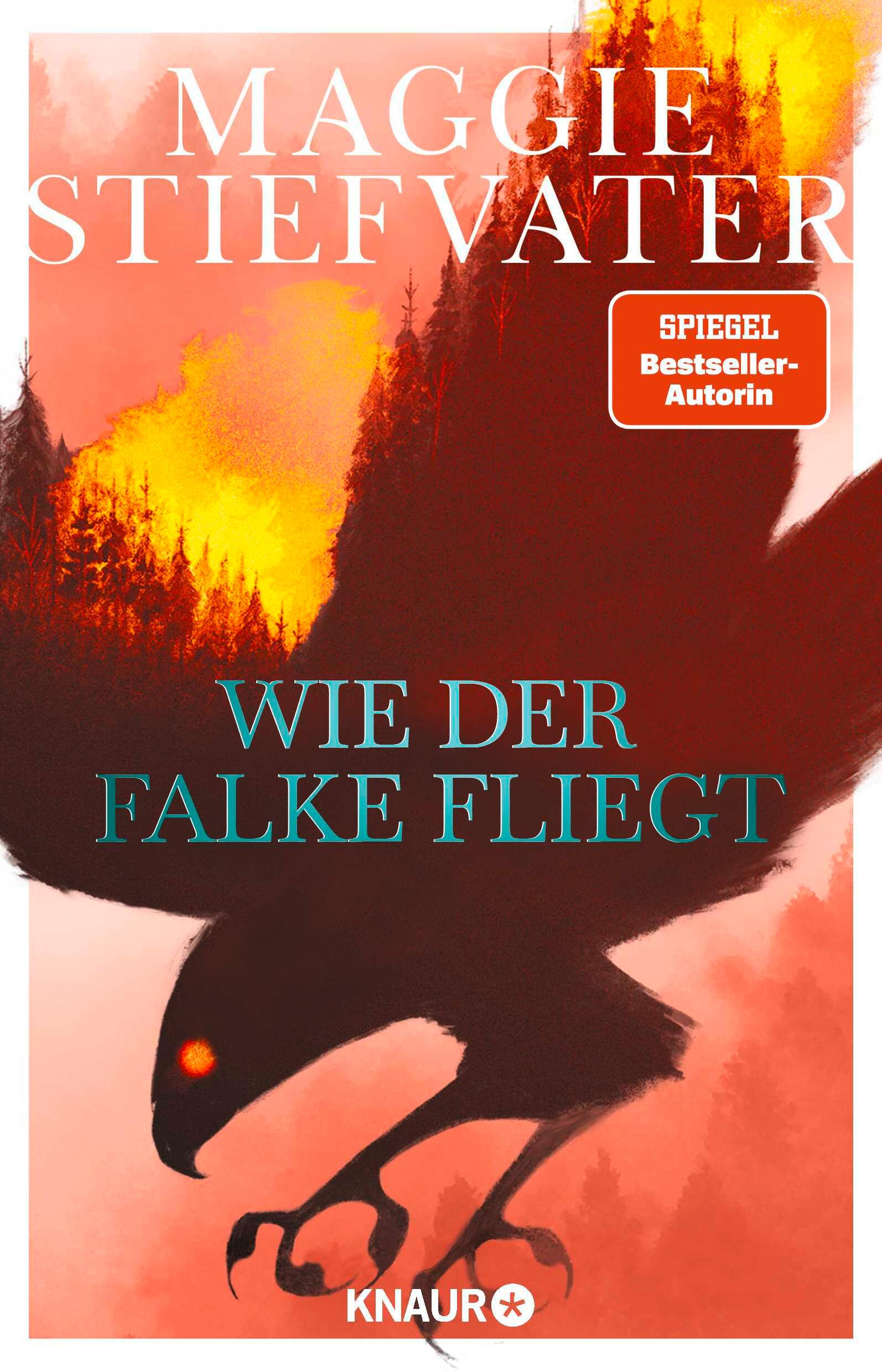 Vorderes Coverbild Wie der Falke fliegt