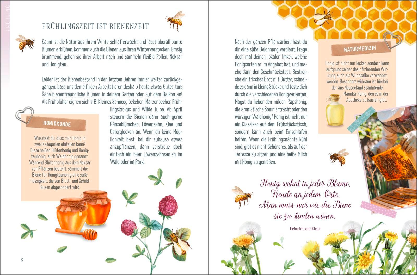 Beispielinhalt (Bild) Die vier Gute-Laune-Zeiten