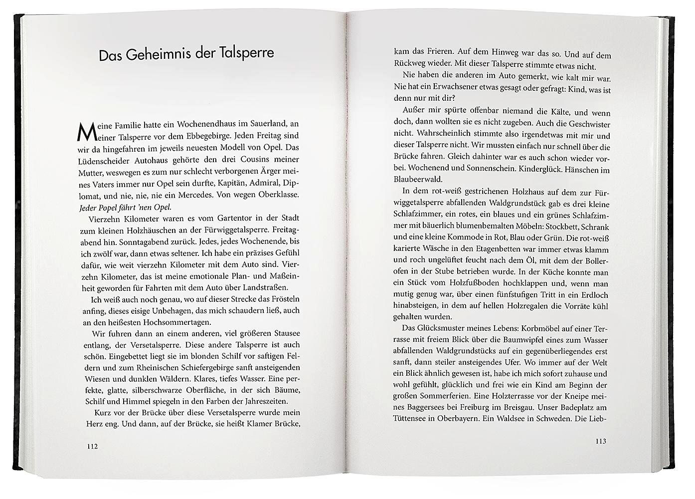 Beispielinhalt (Bild) Pericallosa