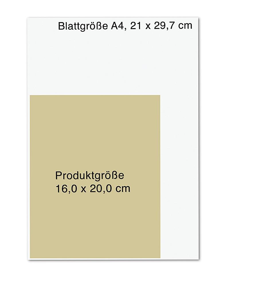 Beispielinhalt (Bild) Das RückenHeilbuch für Frauen