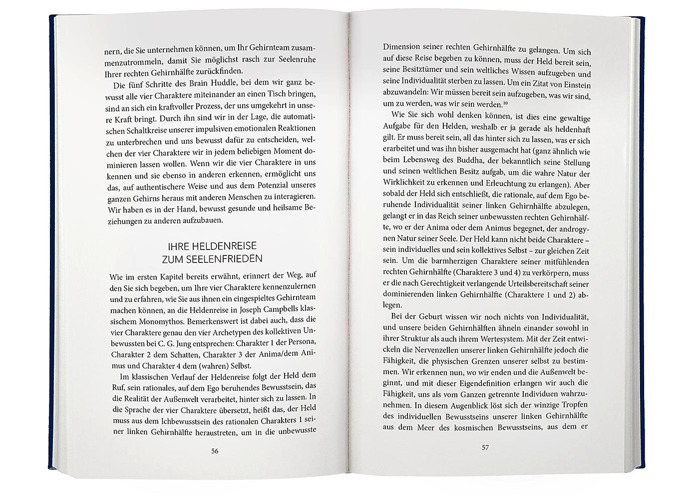 Beispielinhalt (Bild) Gehirn^4