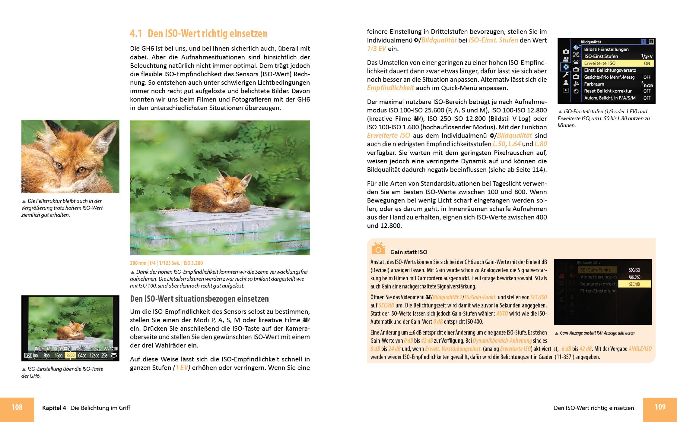 Beispielinhalt (Bild) Panasonic LUMIX DC-GH6