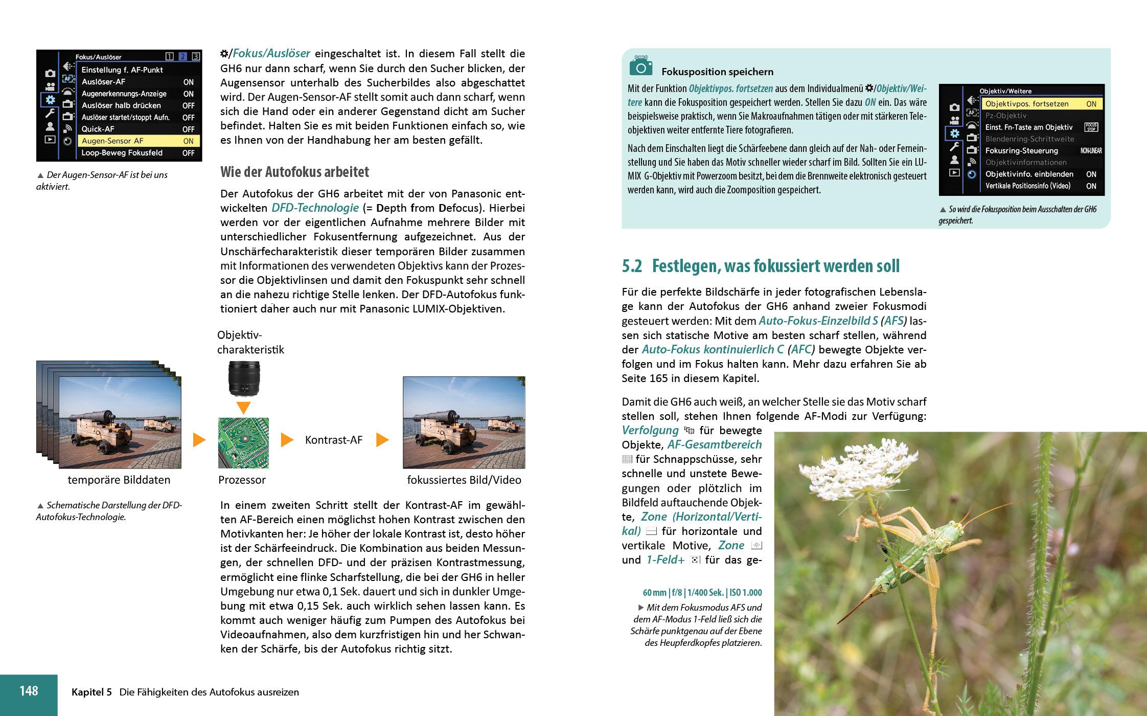 Beispielinhalt (Bild) Panasonic LUMIX DC-GH6