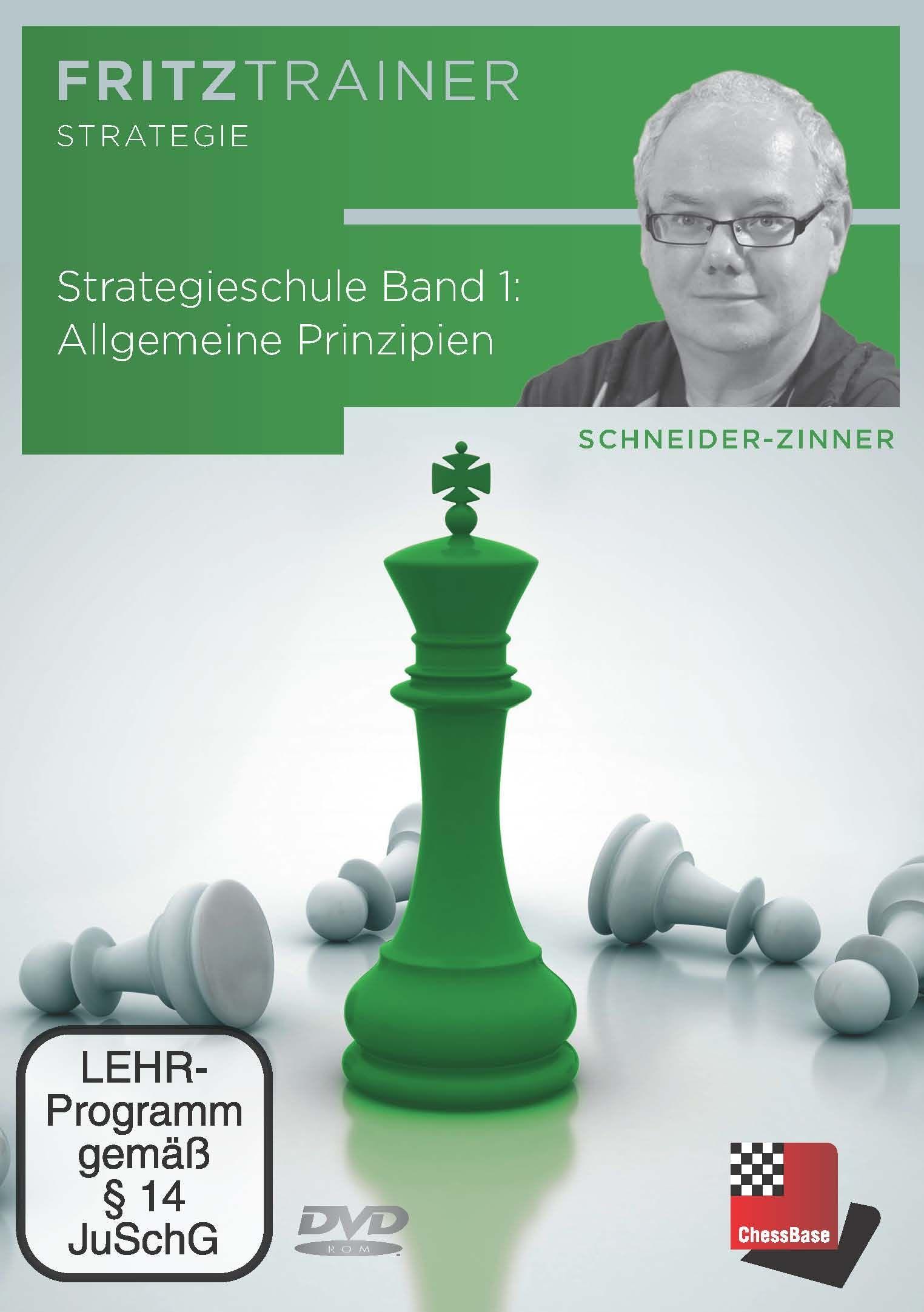 Vorderes Coverbild Strategieschule Band 1