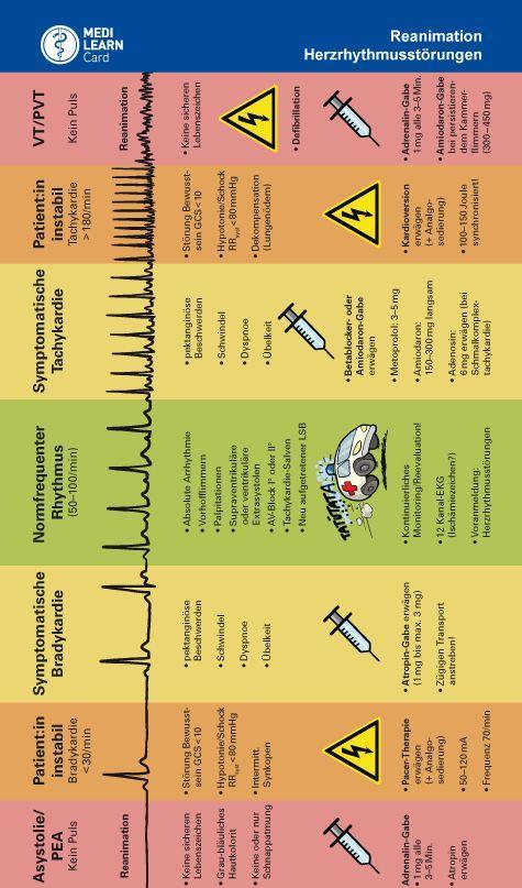 Beispielinhalt (Bild) MEDI-LEARN Card: Herzrhythmusstörungen und Reanimation