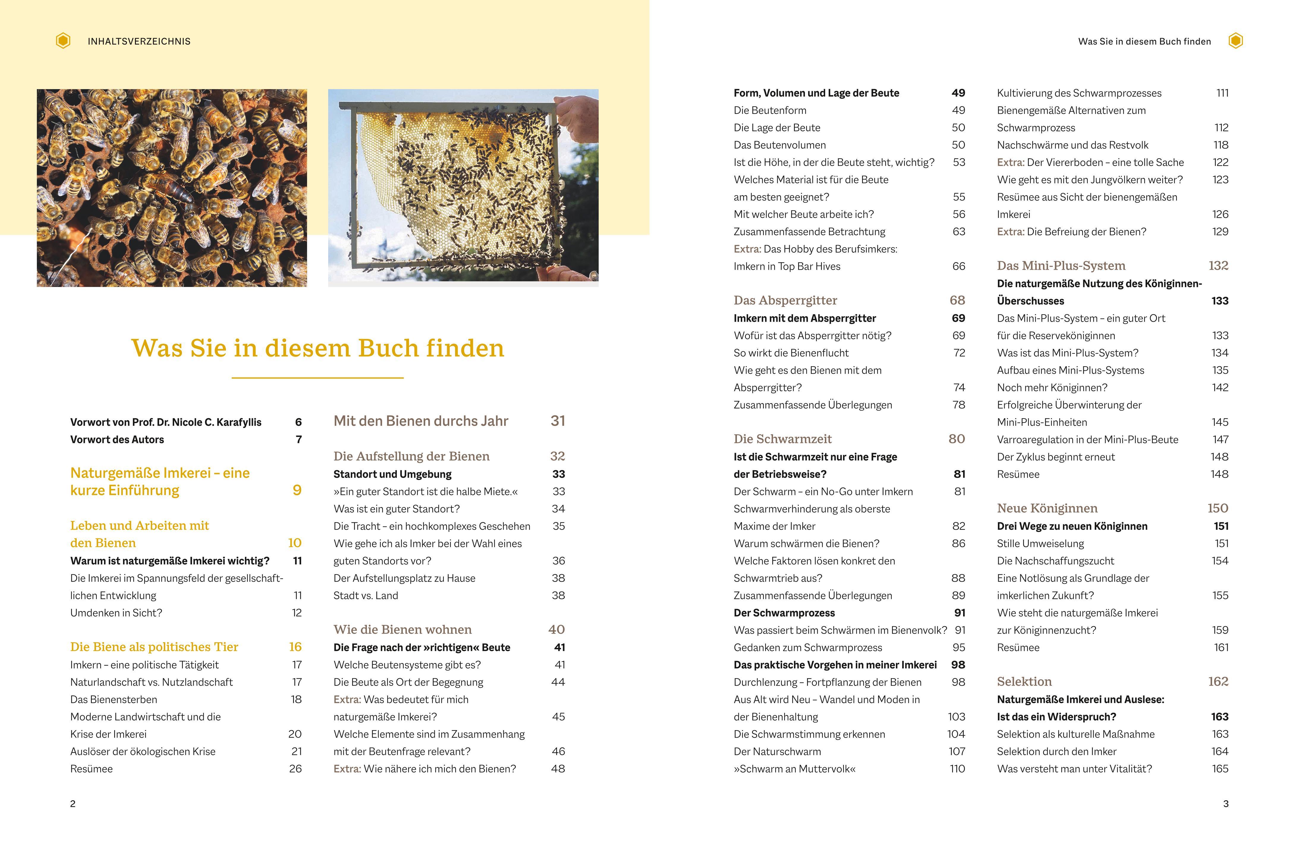 Beispielinhalt (Bild) Bienengemäß imkern im Jahreslauf