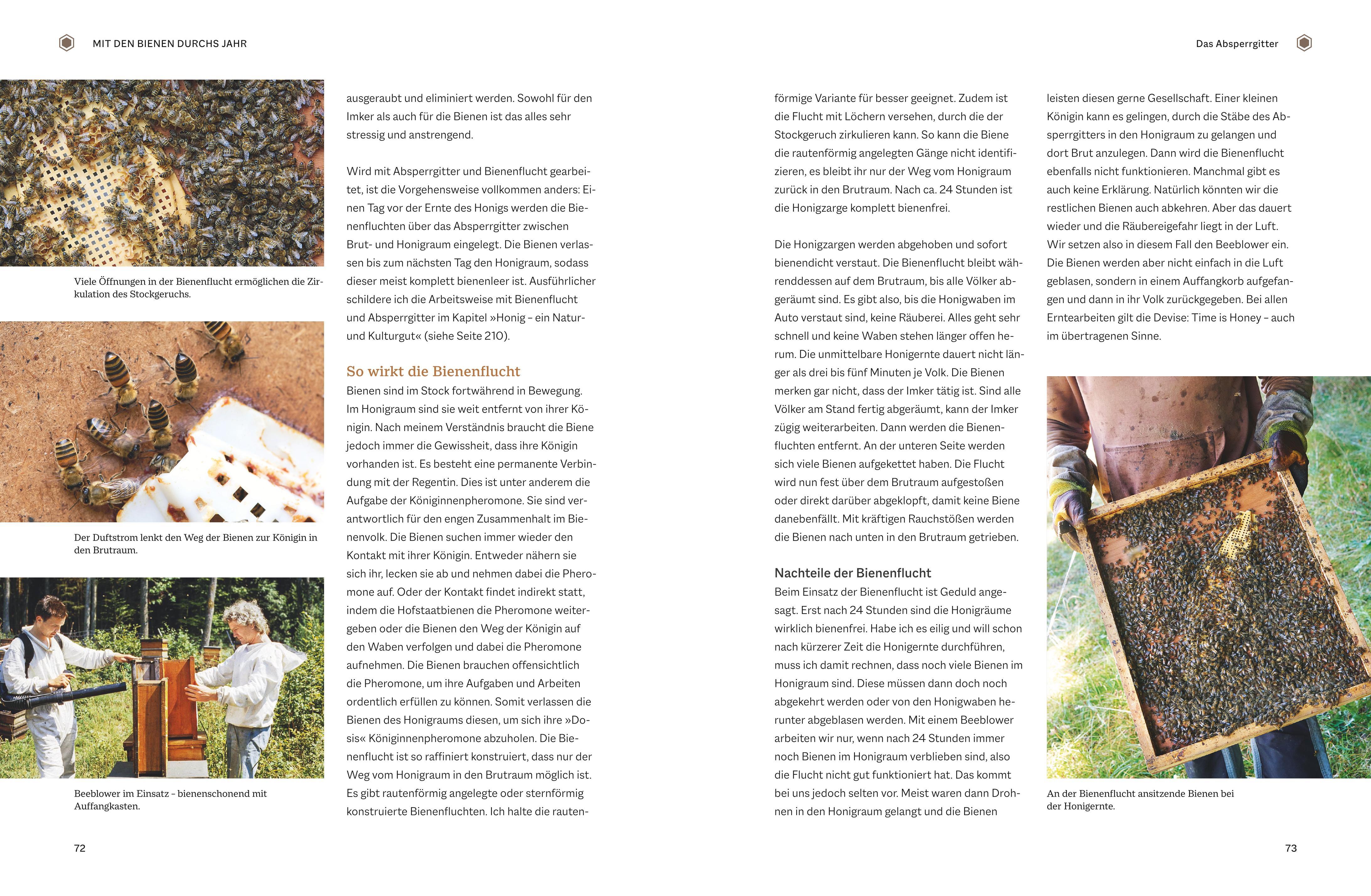 Beispielinhalt (Bild) Bienengemäß imkern im Jahreslauf