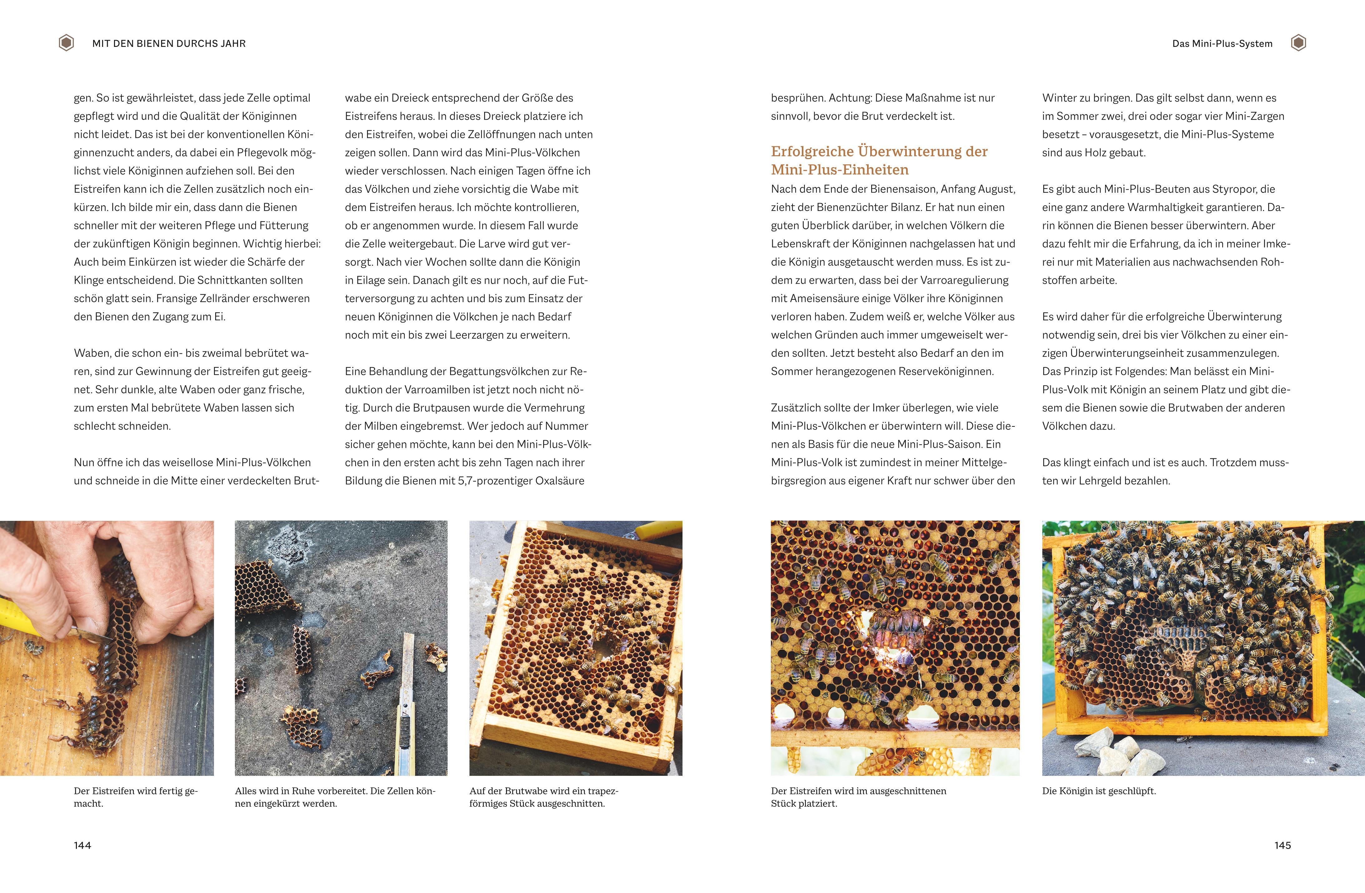 Beispielinhalt (Bild) Bienengemäß imkern im Jahreslauf