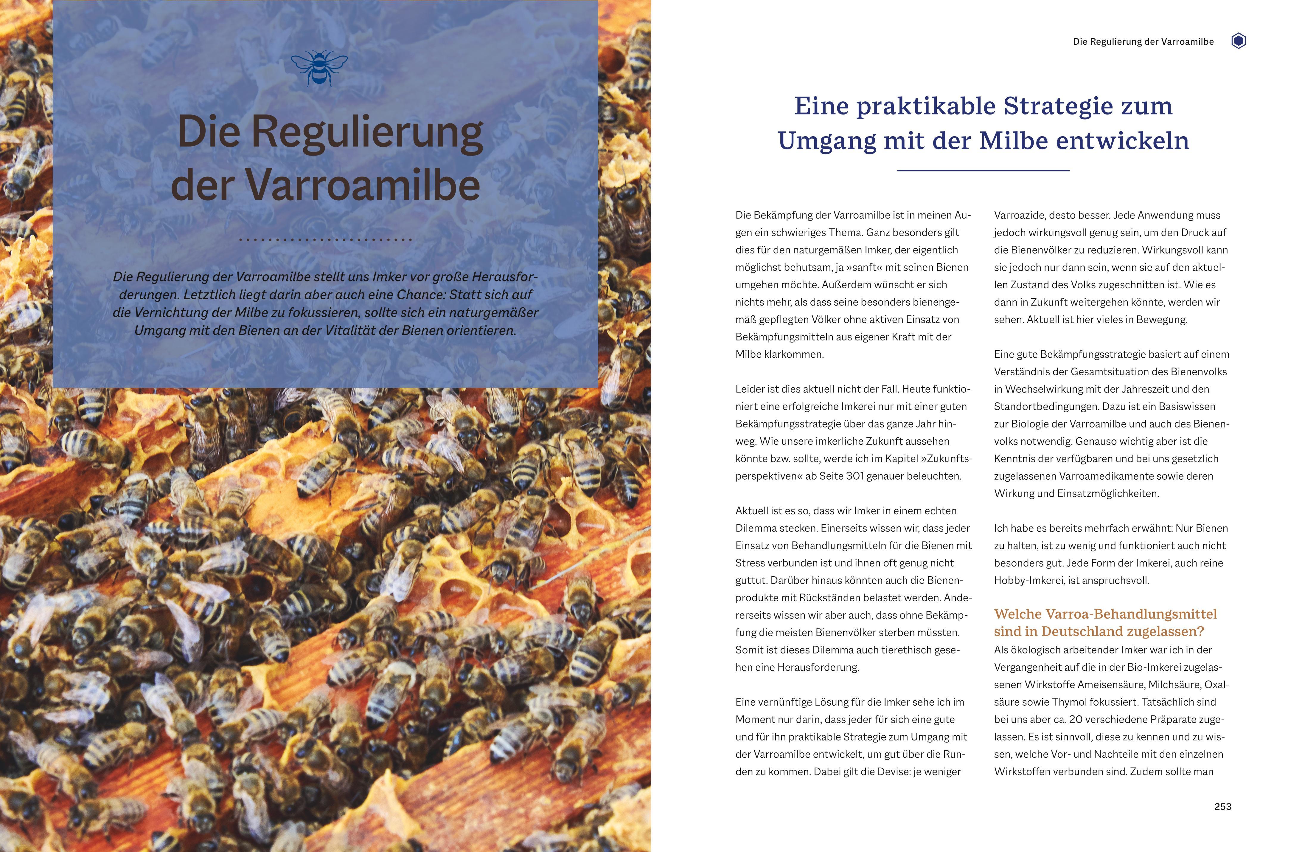 Beispielinhalt (Bild) Bienengemäß imkern im Jahreslauf