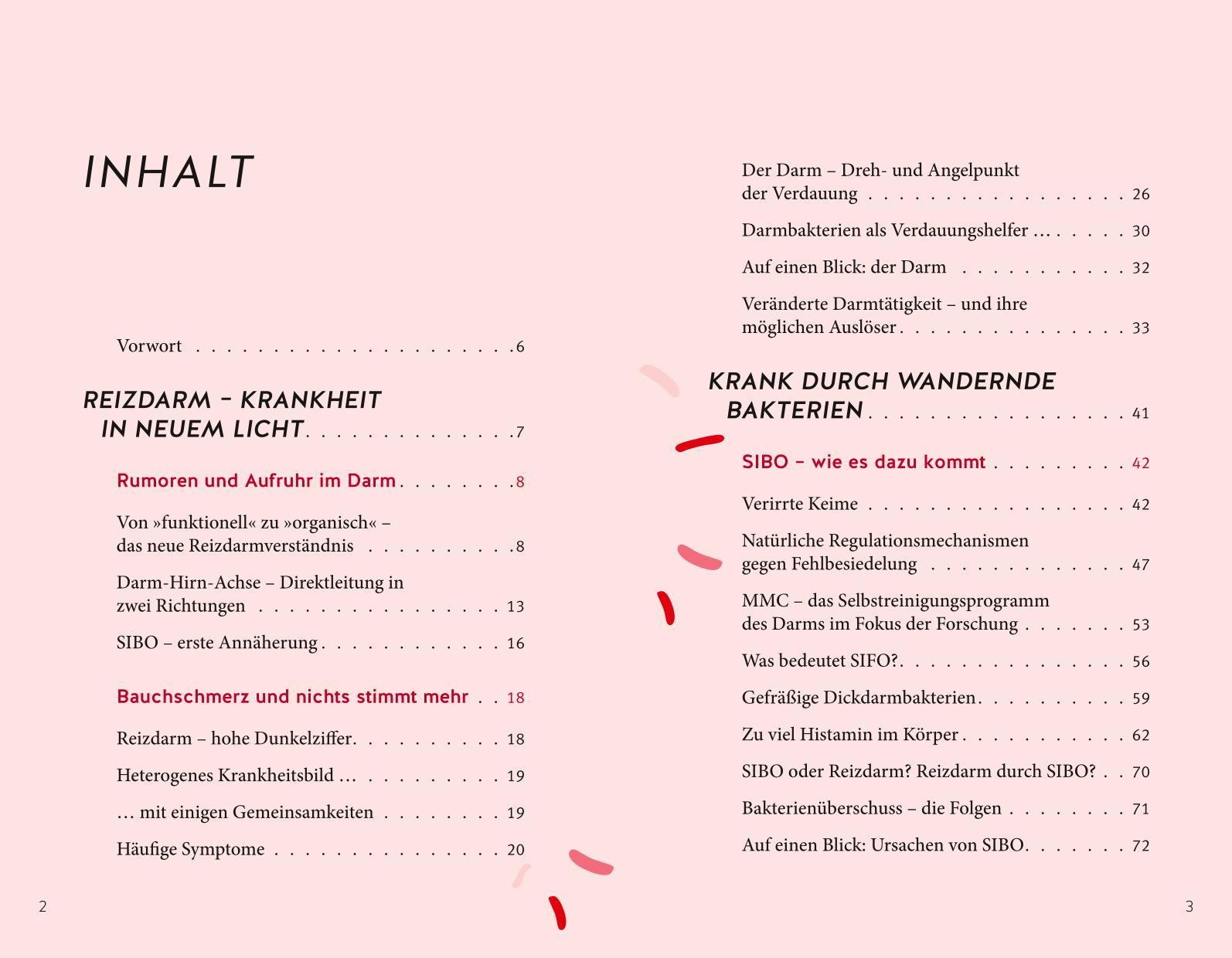 Beispielinhalt (Bild) Endlich Heilung für den Reizdarm