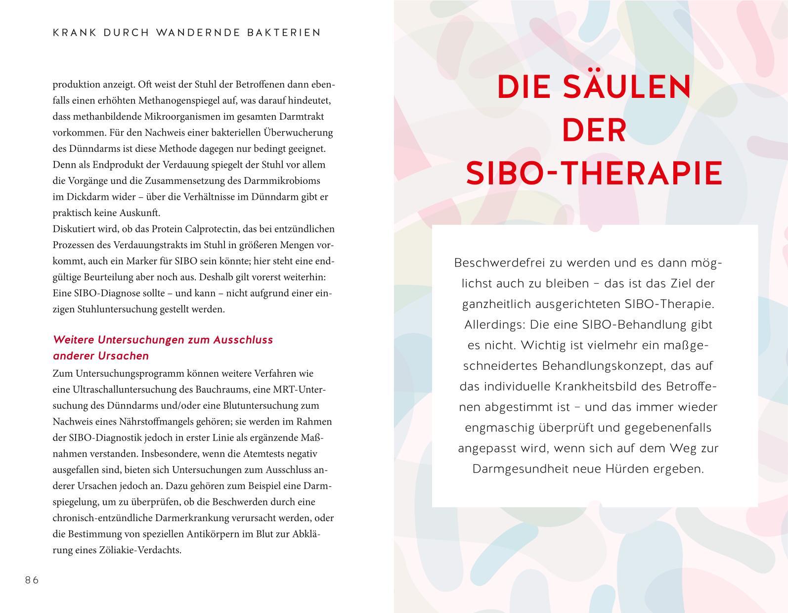 Beispielinhalt (Bild) Endlich Heilung für den Reizdarm