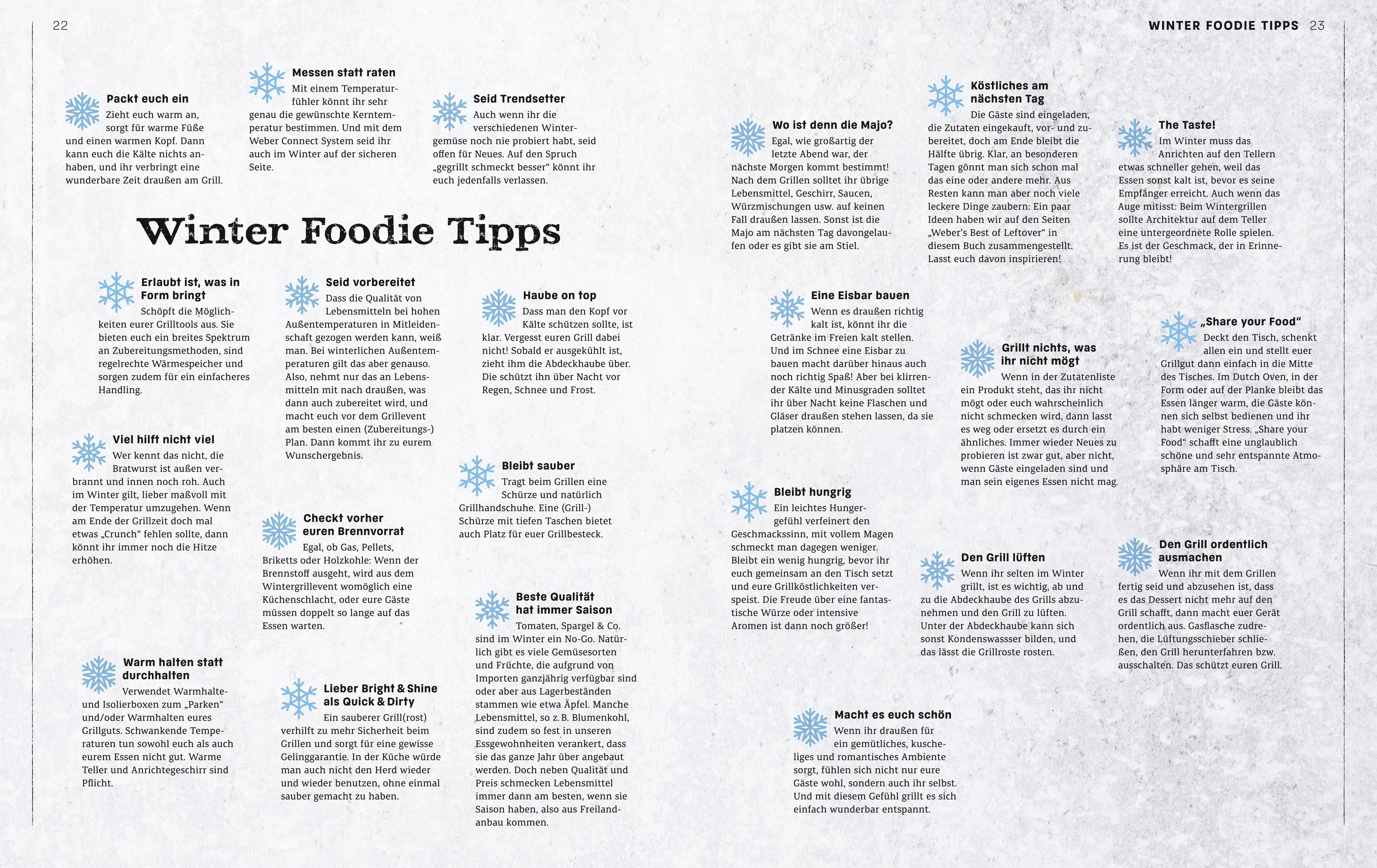 Beispielinhalt (Bild) Weber's Wintergrillbibel
