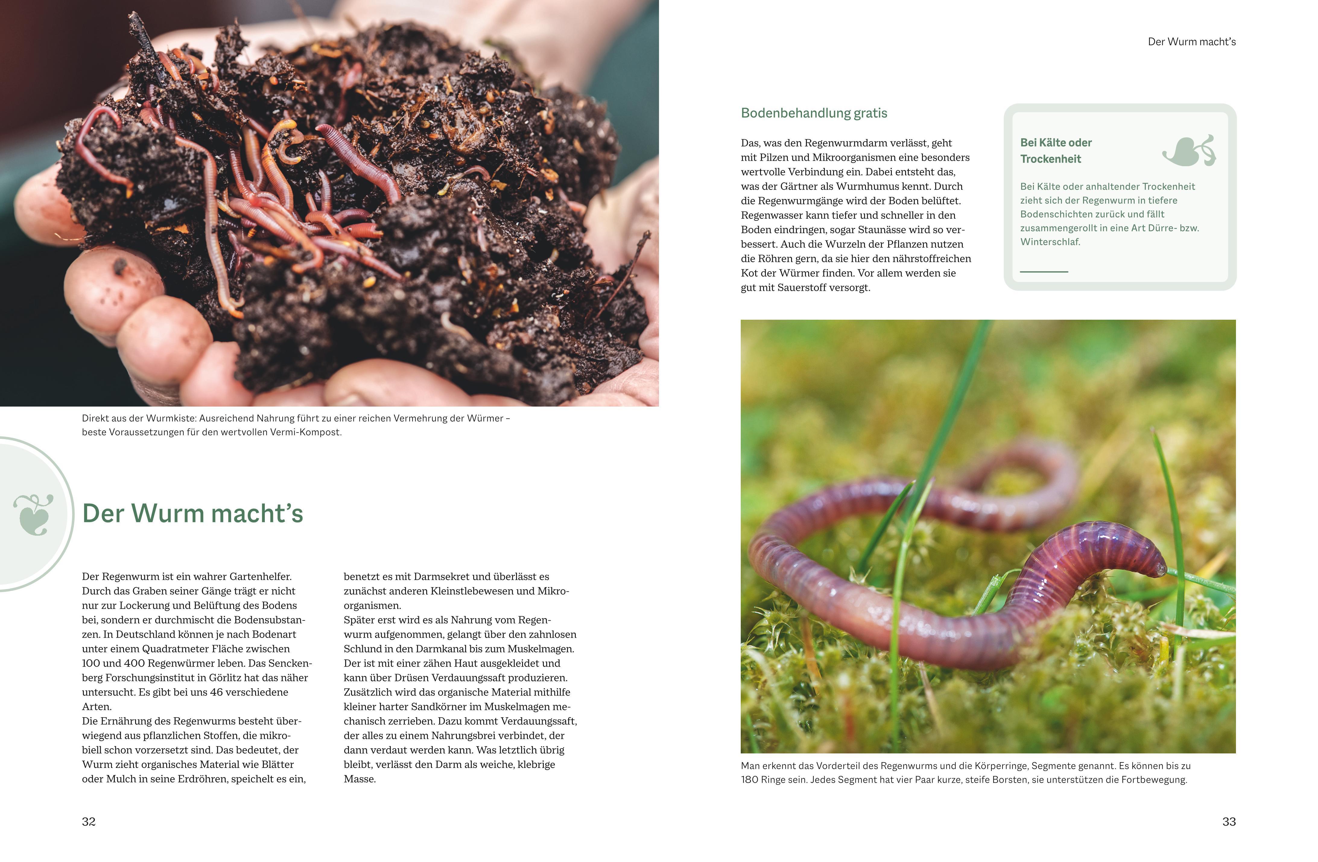 Beispielinhalt (Bild) Der optimale Gemüsegarten