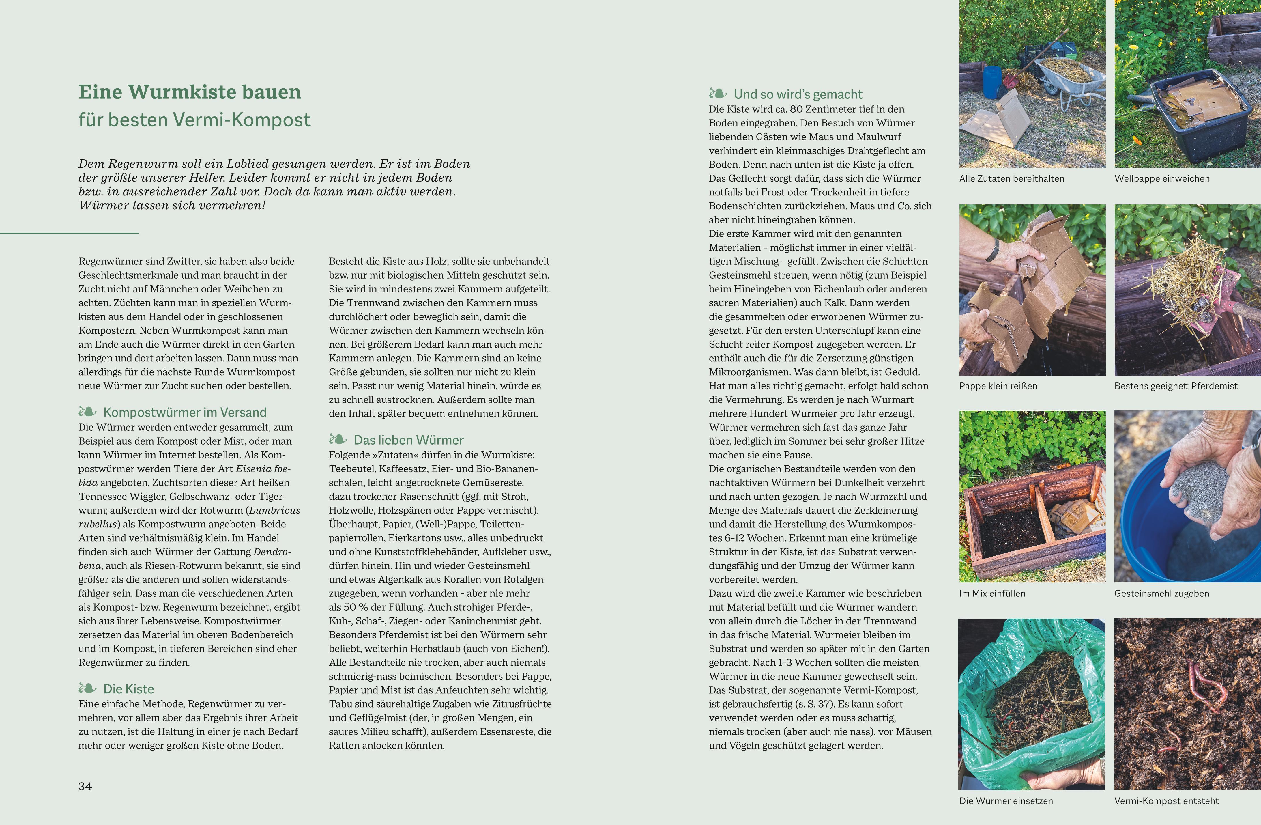 Beispielinhalt (Bild) Der optimale Gemüsegarten