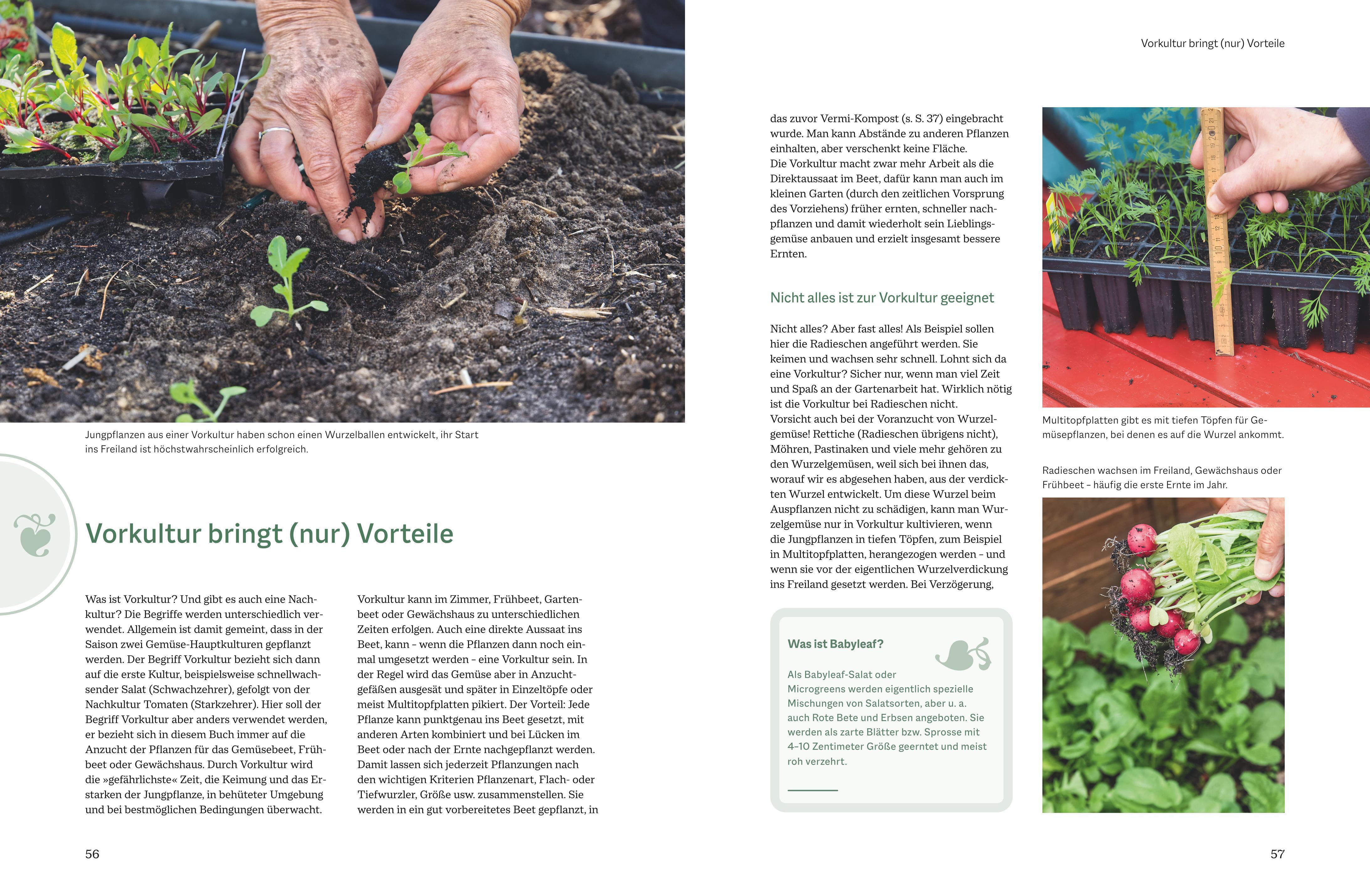 Beispielinhalt (Bild) Der optimale Gemüsegarten