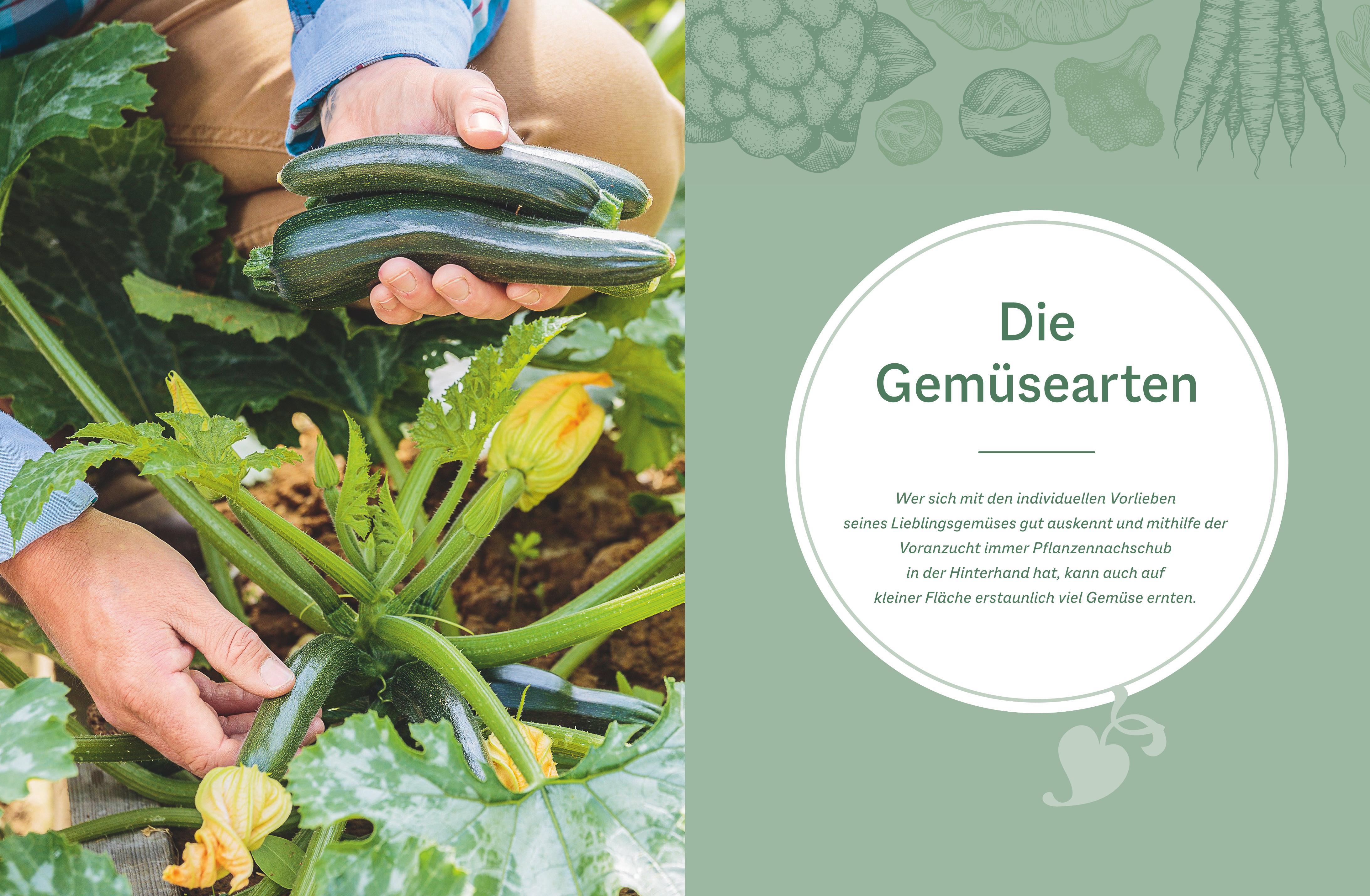 Beispielinhalt (Bild) Der optimale Gemüsegarten