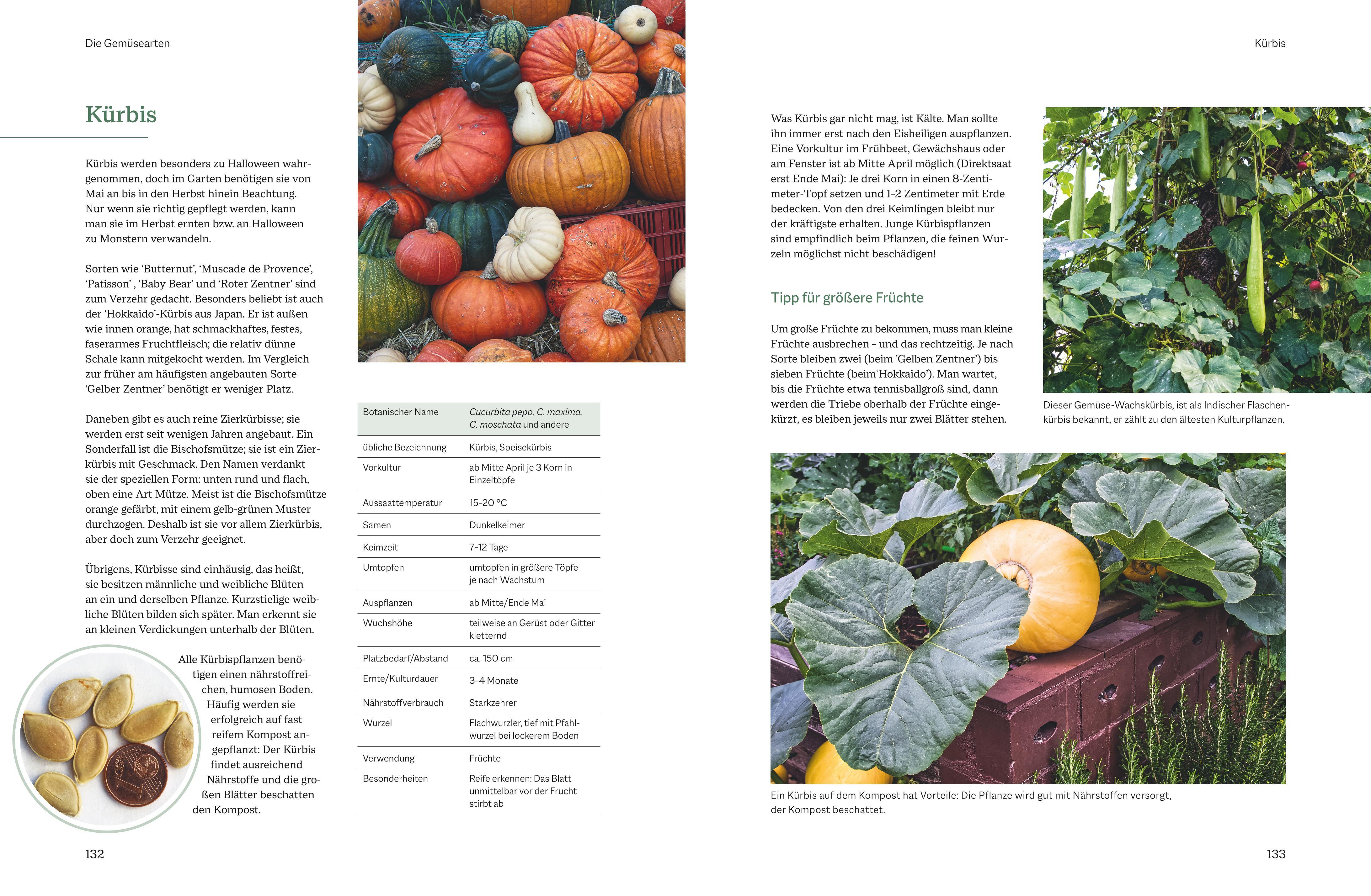 Beispielinhalt (Bild) Der optimale Gemüsegarten