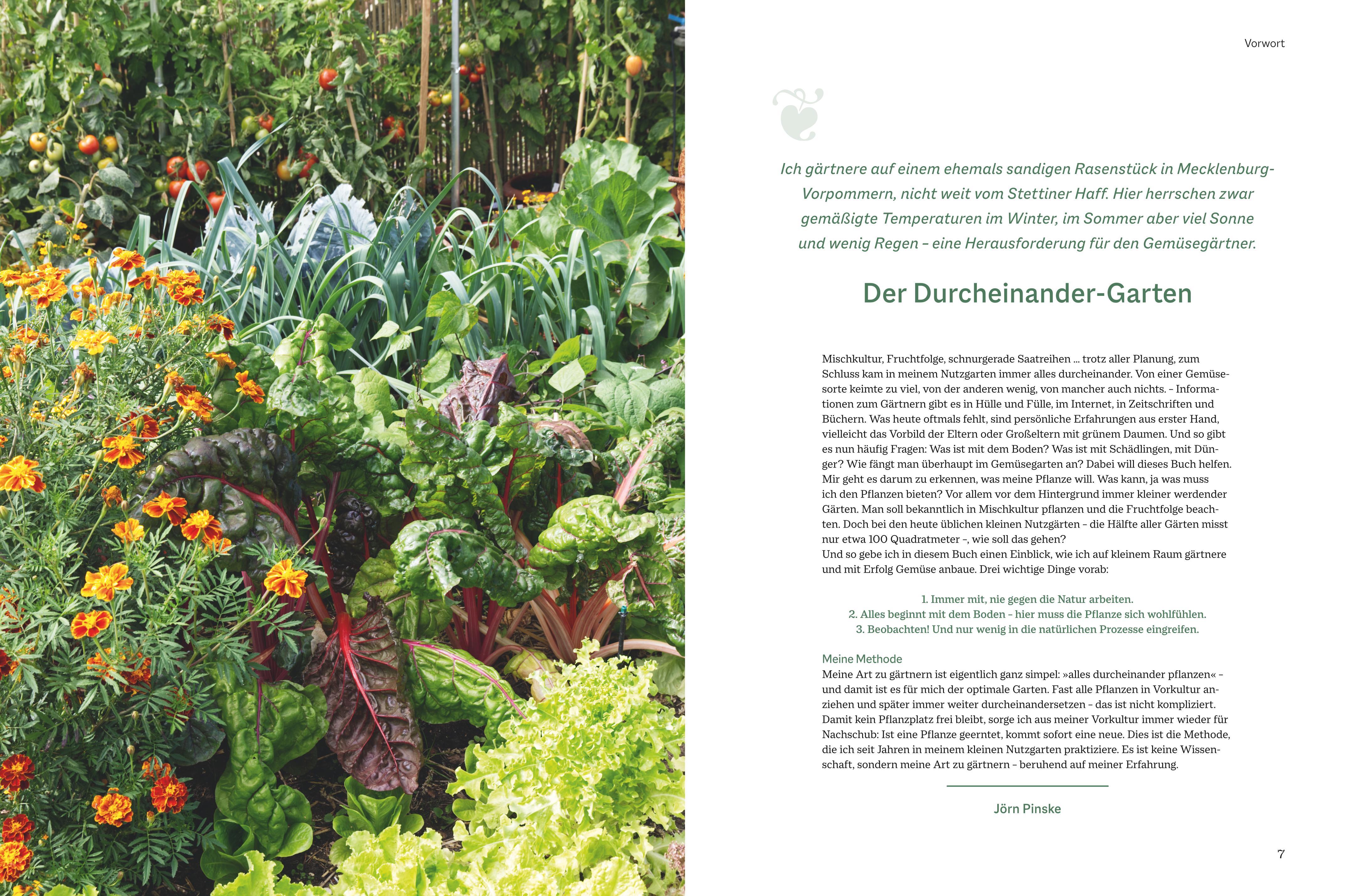 Beispielinhalt (Bild) Der optimale Gemüsegarten