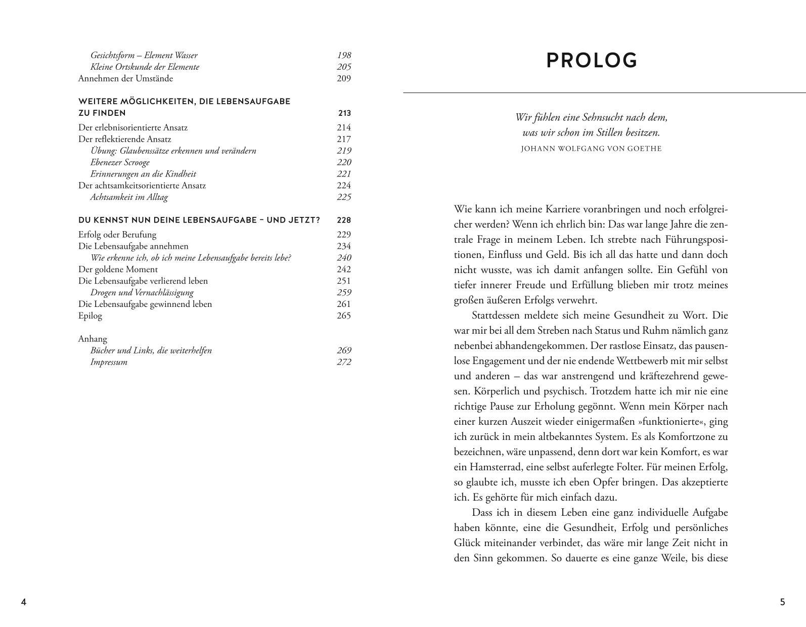 Beispielinhalt (Bild) Ich lese deine Lebensaufgabe