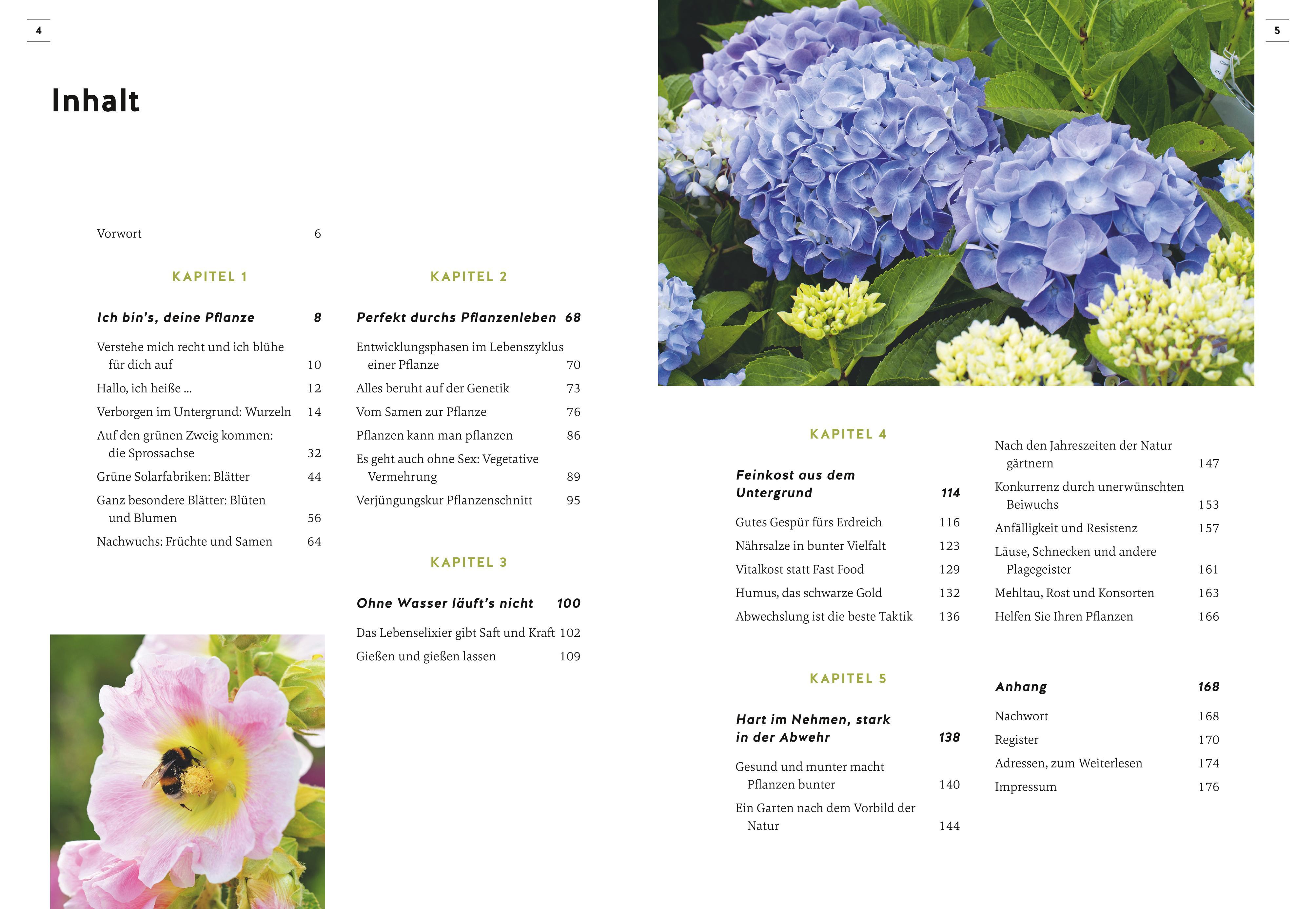 Beispielinhalt (Bild) Pflanzen endlich verstehen