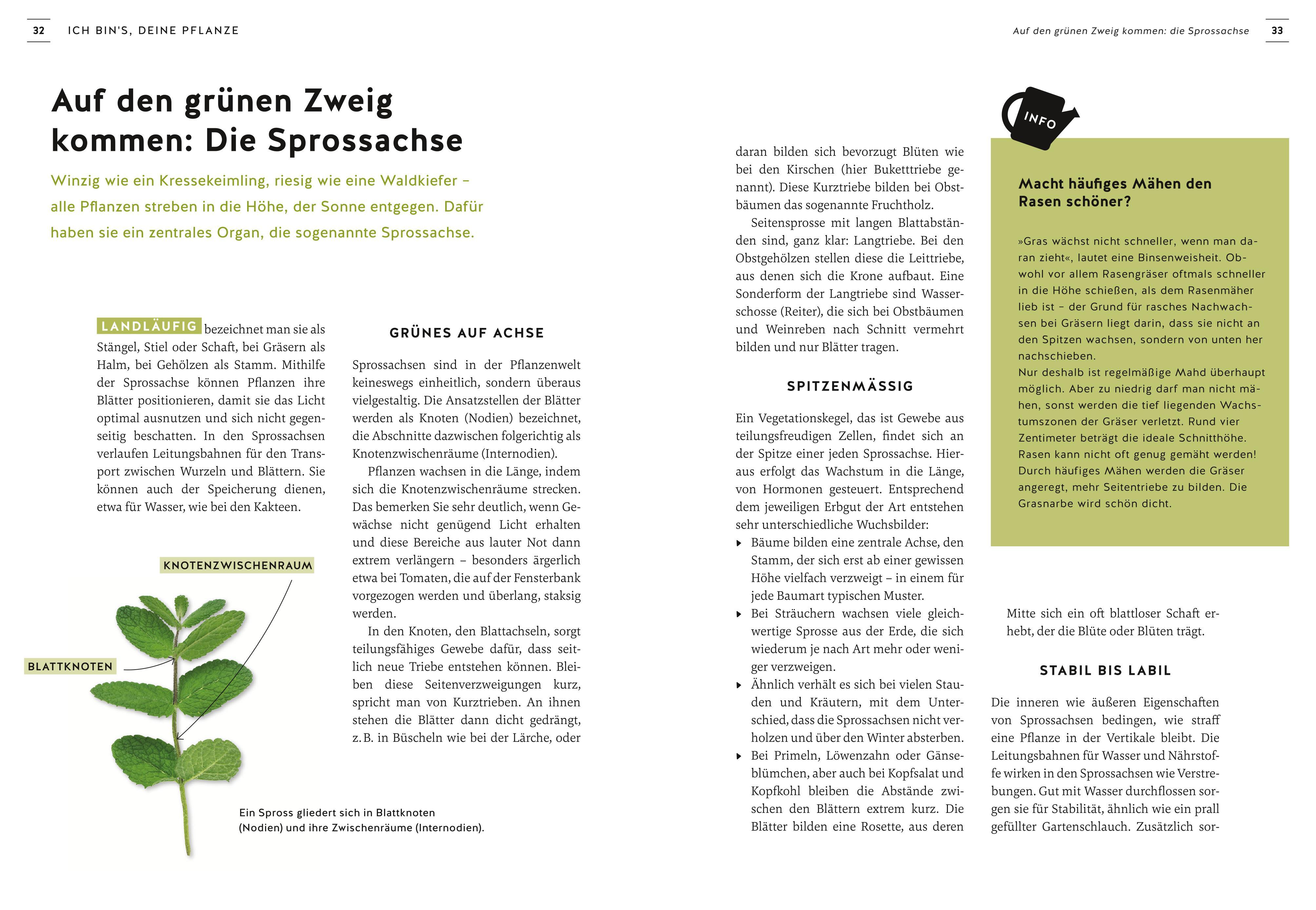 Beispielinhalt (Bild) Pflanzen endlich verstehen