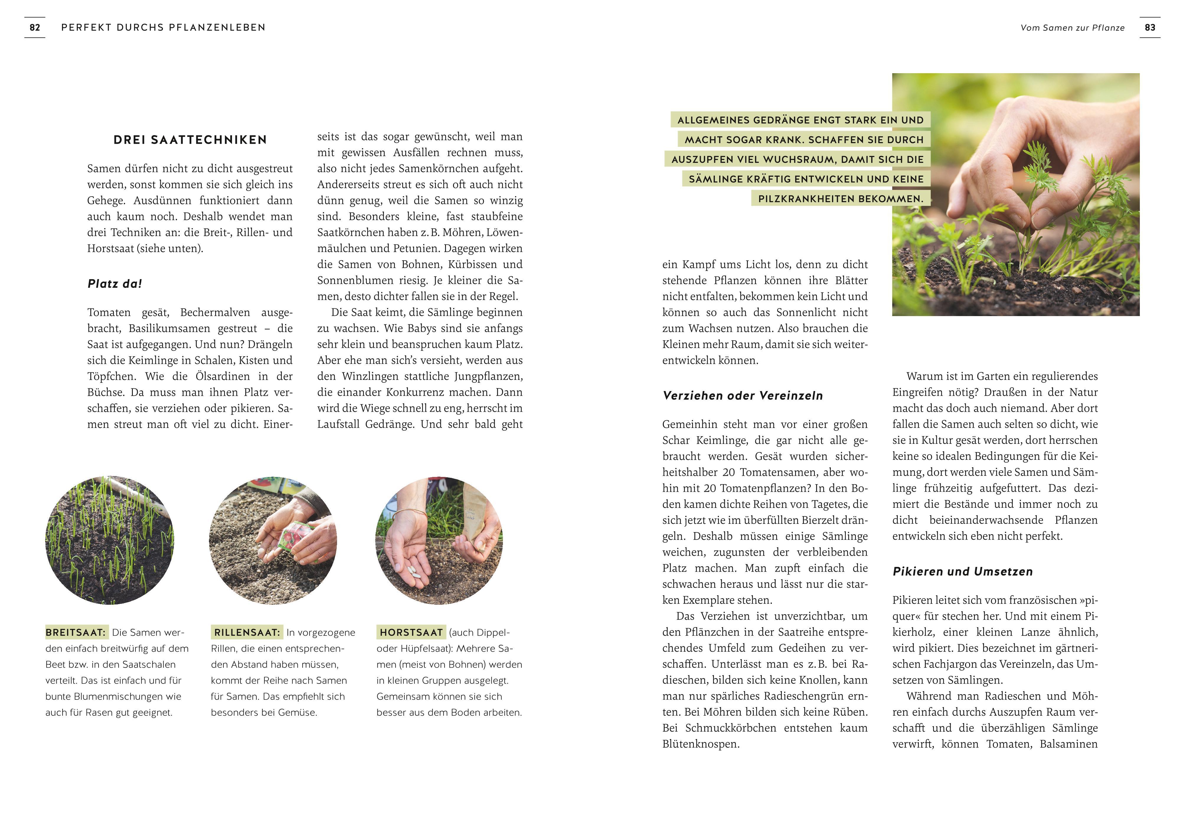 Beispielinhalt (Bild) Pflanzen endlich verstehen