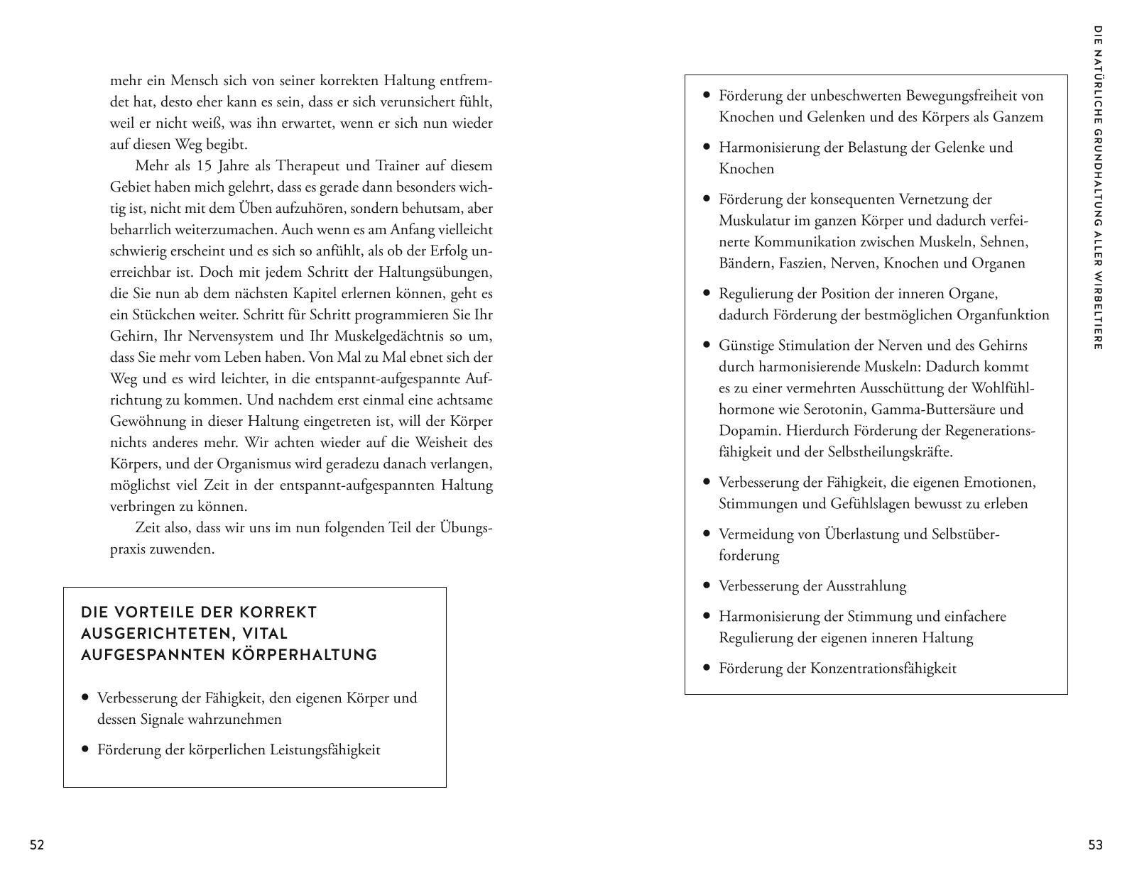 Beispielinhalt (Bild) Die Macht der Haltung