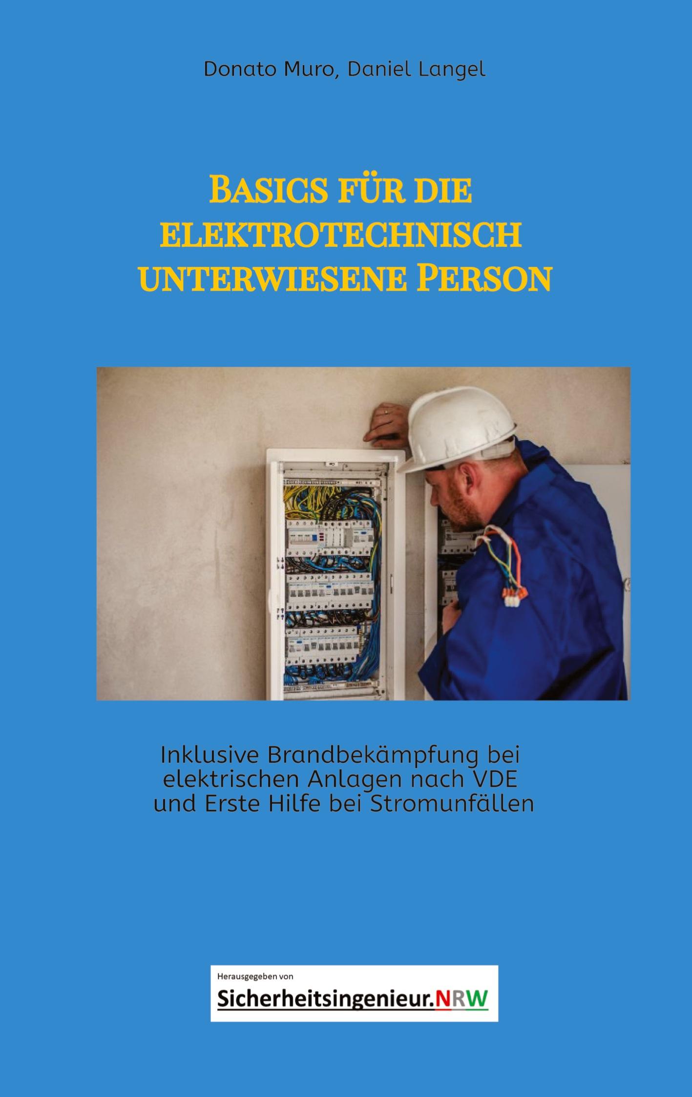 Vorderes Coverbild Basics für die elektrotechnisch unterwiesene Person
