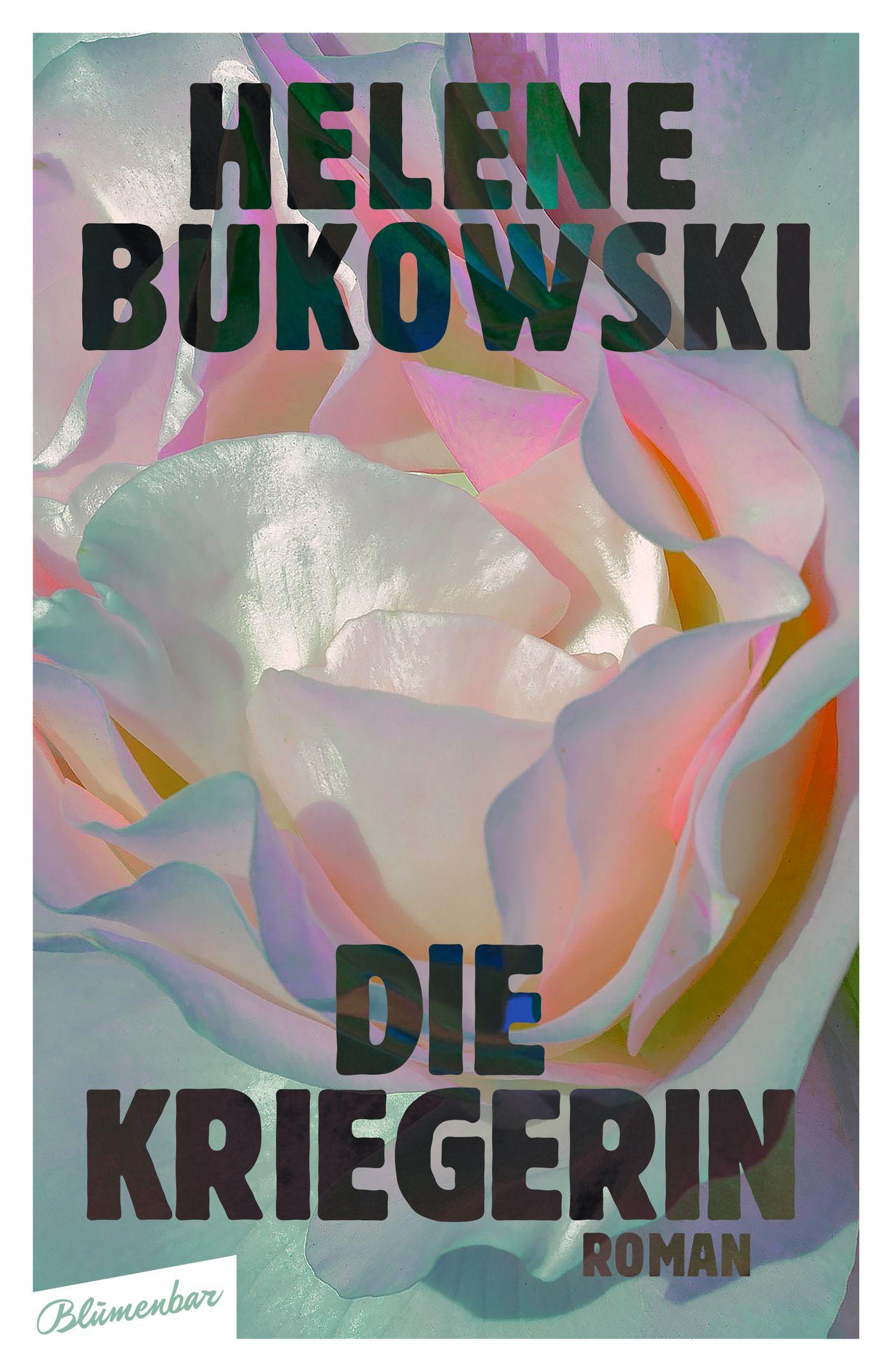 Vorderes Coverbild Die Kriegerin