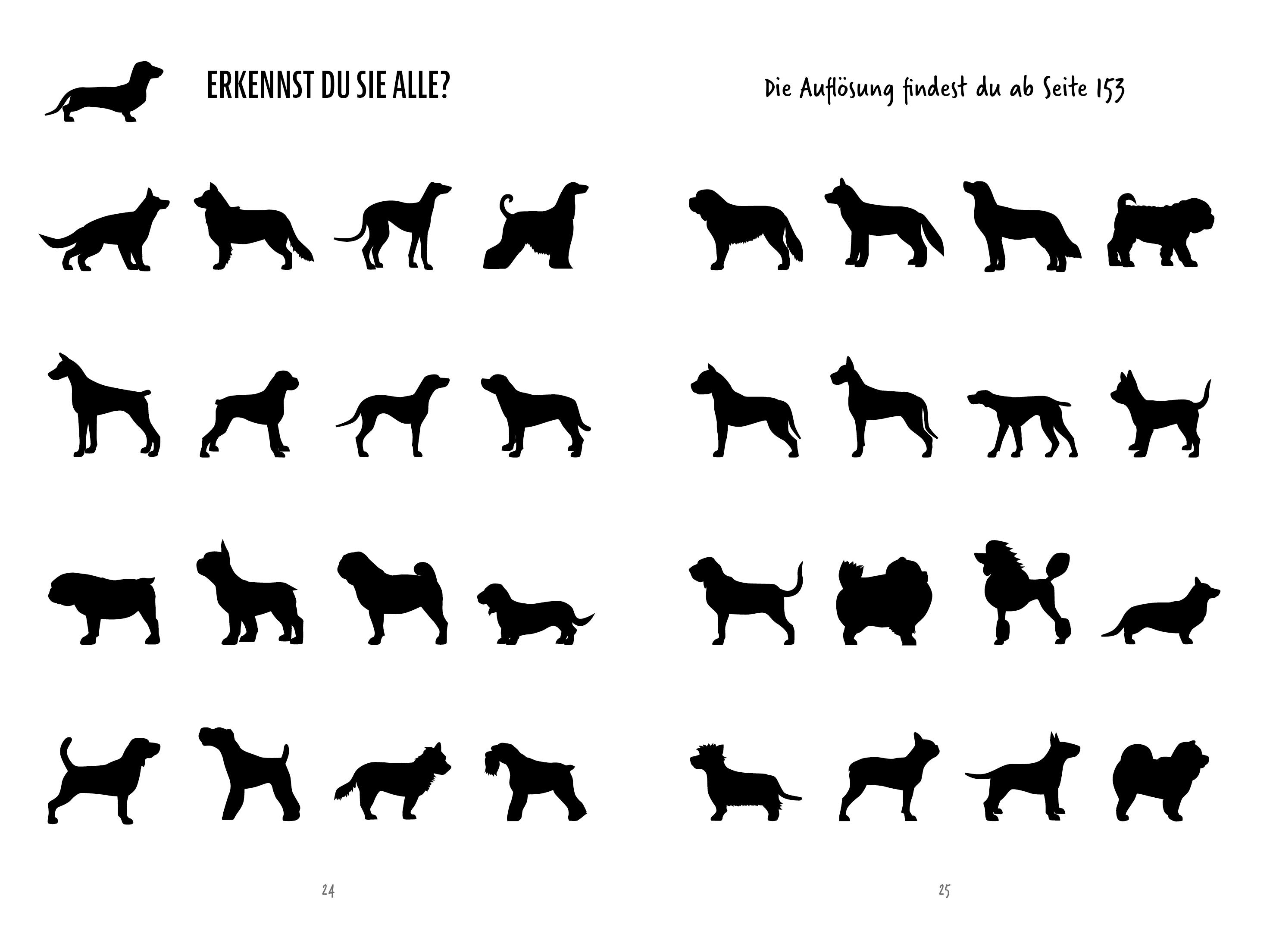 Beispielinhalt (Bild) Unnützes Hundewissen