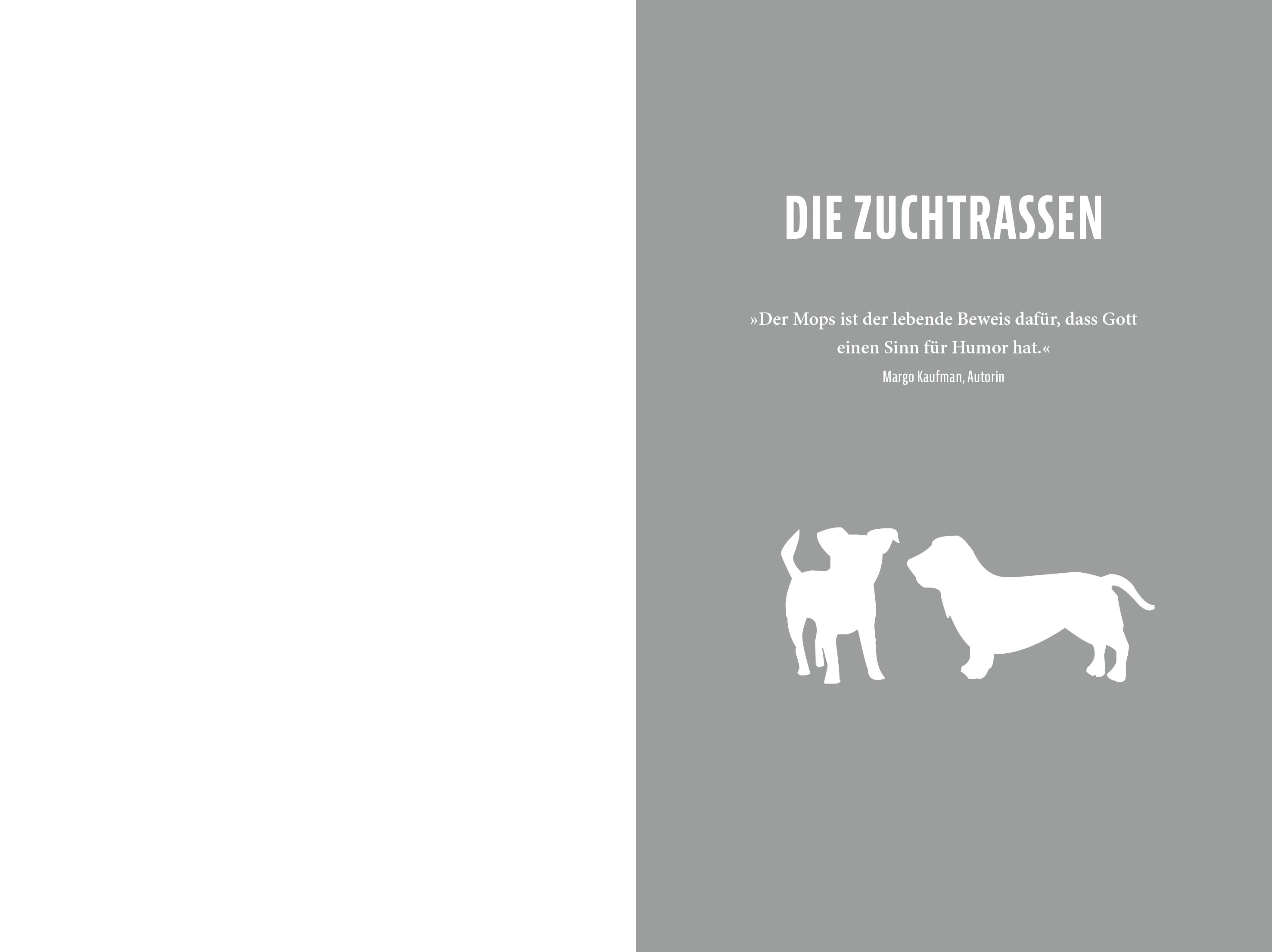 Beispielinhalt (Bild) Unnützes Hundewissen