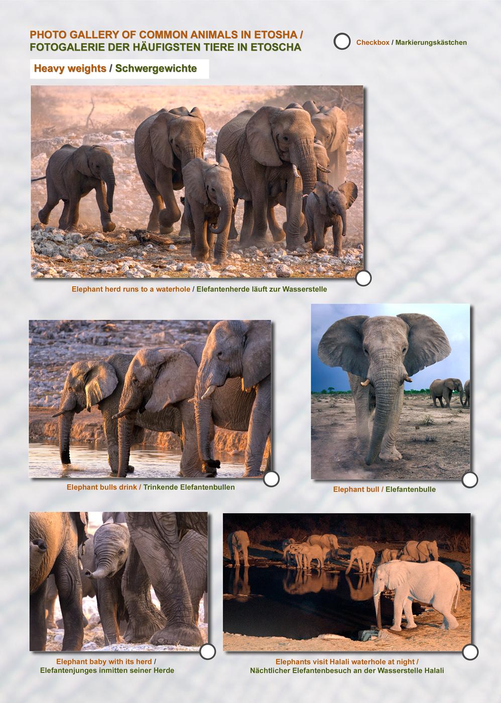 Beispielinhalt (Bild) Das komplette Kartenset NAMIBIA (3-teilig)