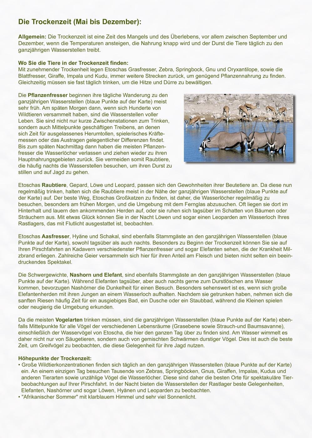 Beispielinhalt (Bild) Das komplette Kartenset NAMIBIA (3-teilig)