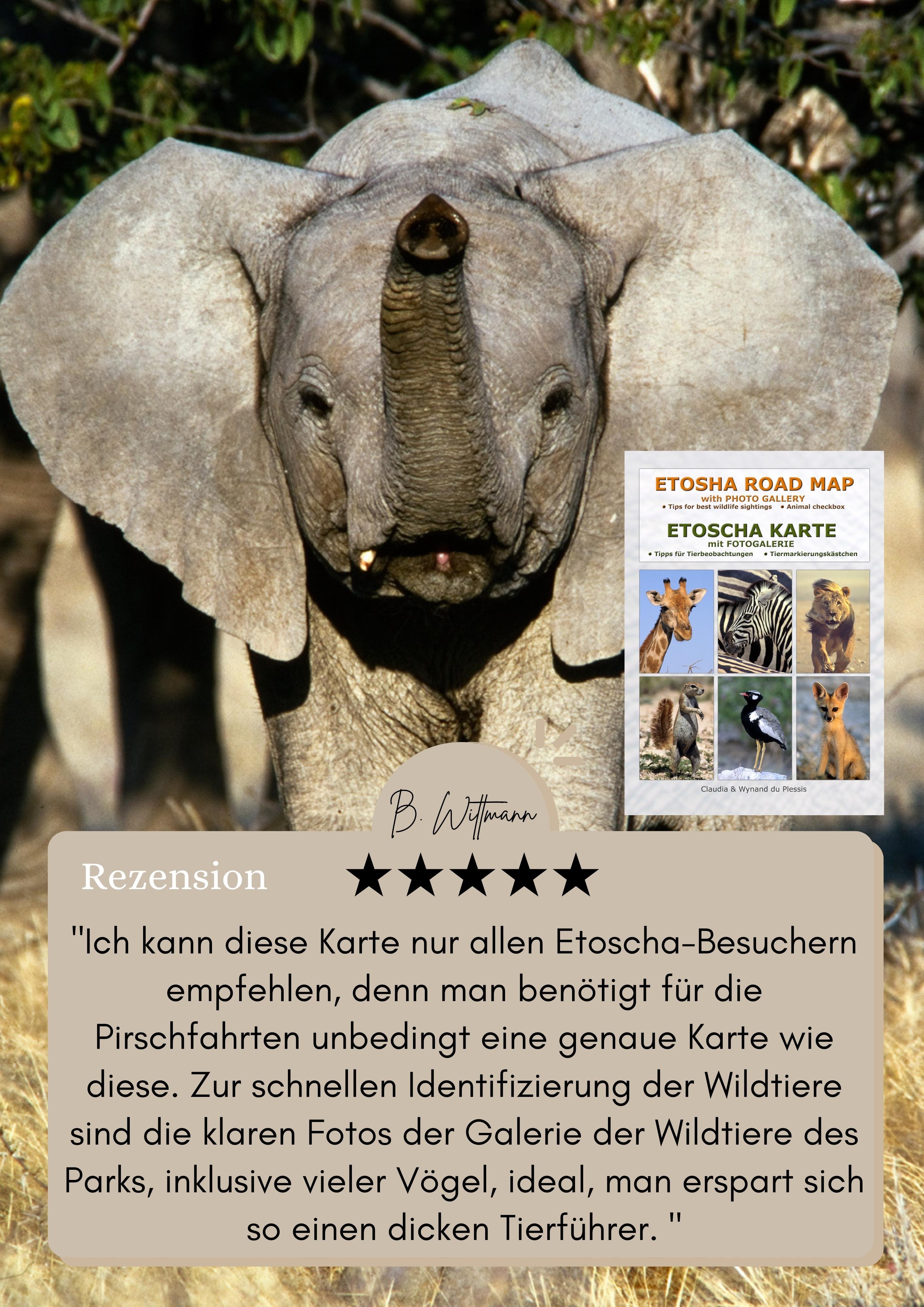 Beispielinhalt (Bild) ETOSCHA KARTE (Etosha National Park, Namibia) mit Fotogalerie