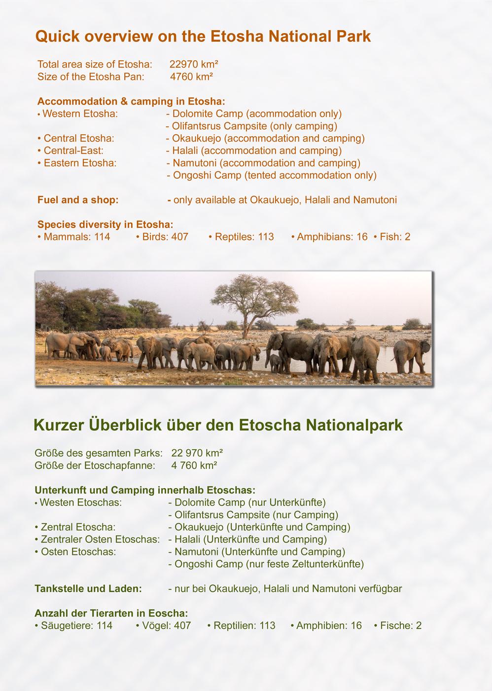 Beispielinhalt (Bild) ETOSCHA KARTE (Etosha National Park, Namibia) mit Fotogalerie