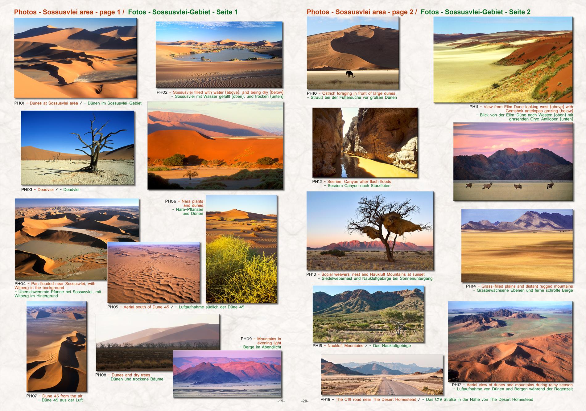 Beispielinhalt (Bild) Die NAMIBWÜSTE - The NAMIB DESERT