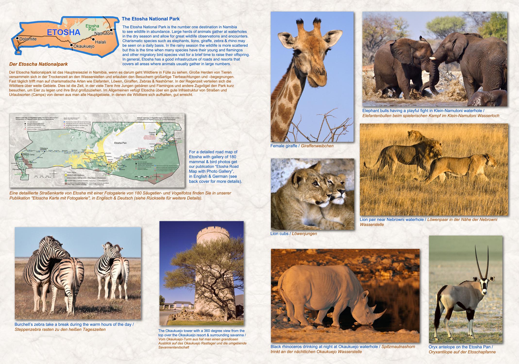 Beispielinhalt (Bild) NAMIBIA