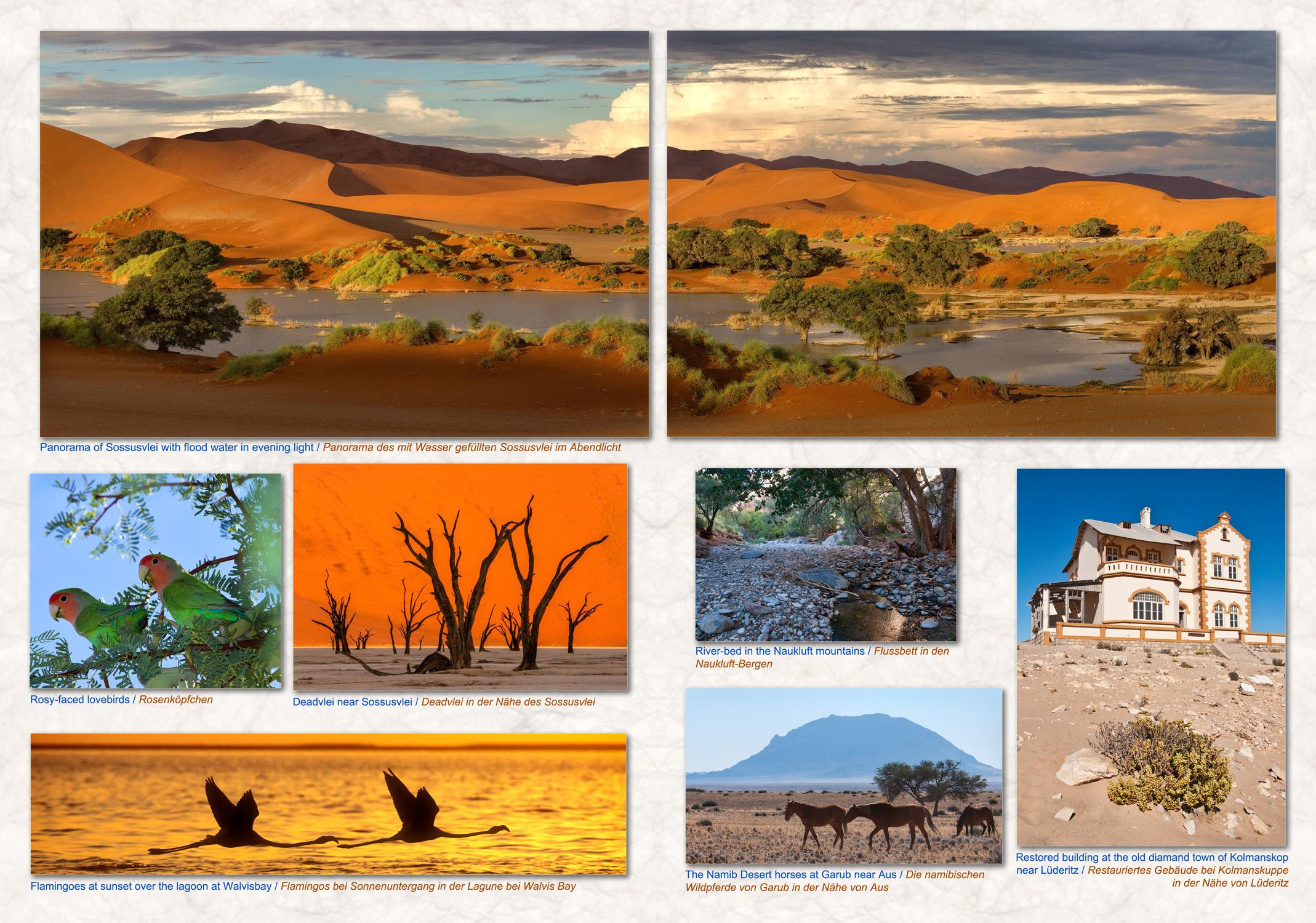 Beispielinhalt (Bild) NAMIBIA