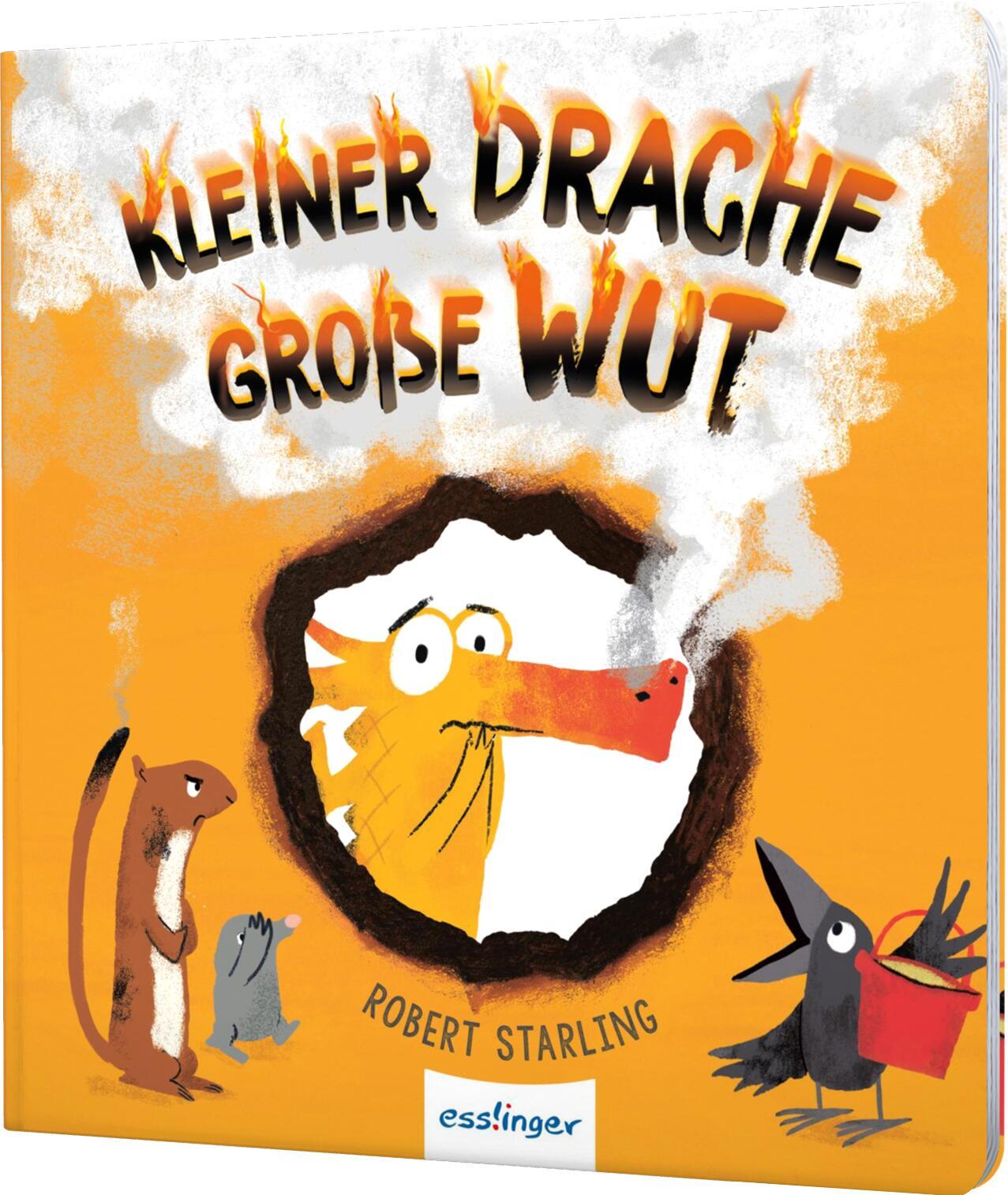 Vorderes Coverbild Kleiner Drache Finn: Kleiner Drache, große Wut