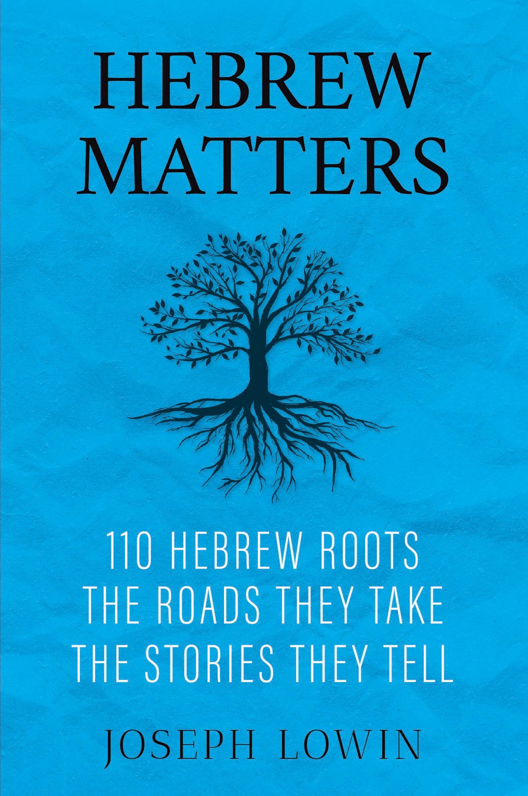 Vorderes Coverbild Hebrew Matters