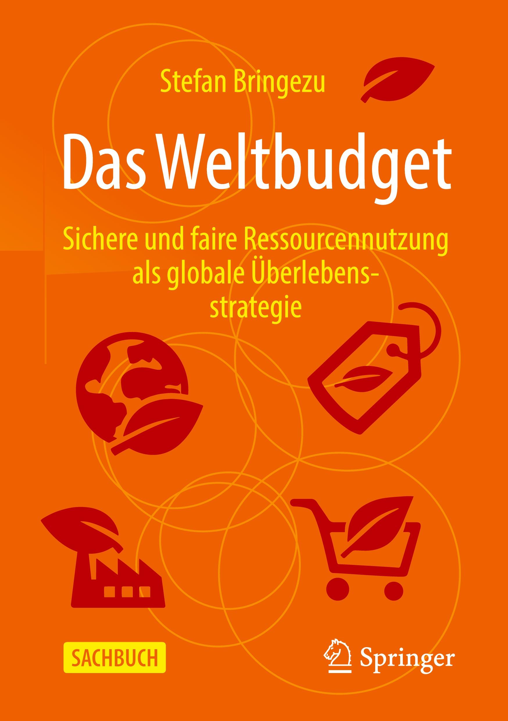 Vorderes Coverbild Das Weltbudget