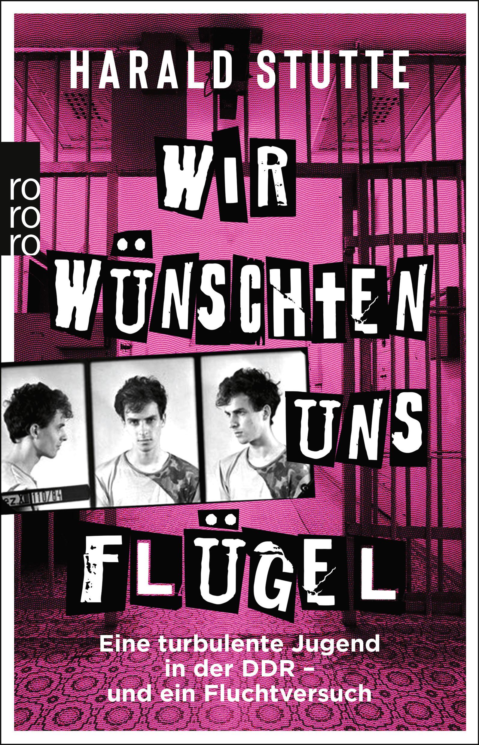 Vorderes Coverbild Wir wünschten uns Flügel