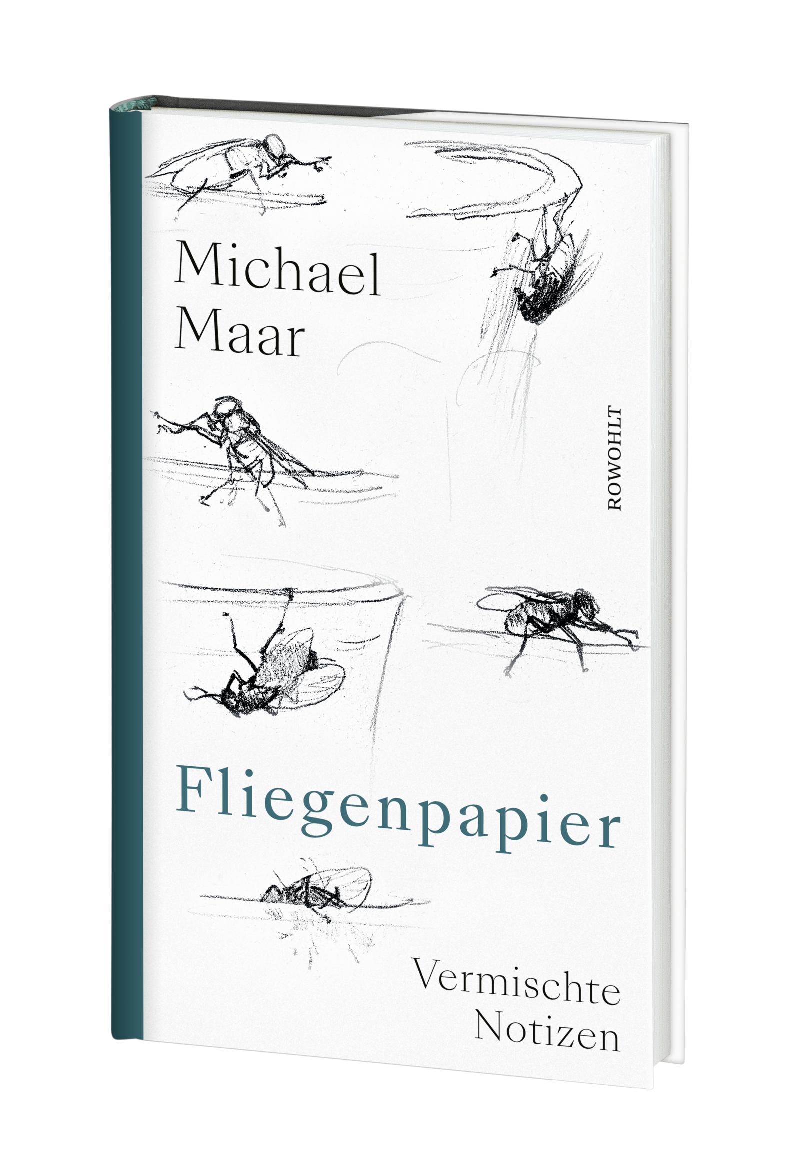 Beispielinhalt (Bild) Fliegenpapier