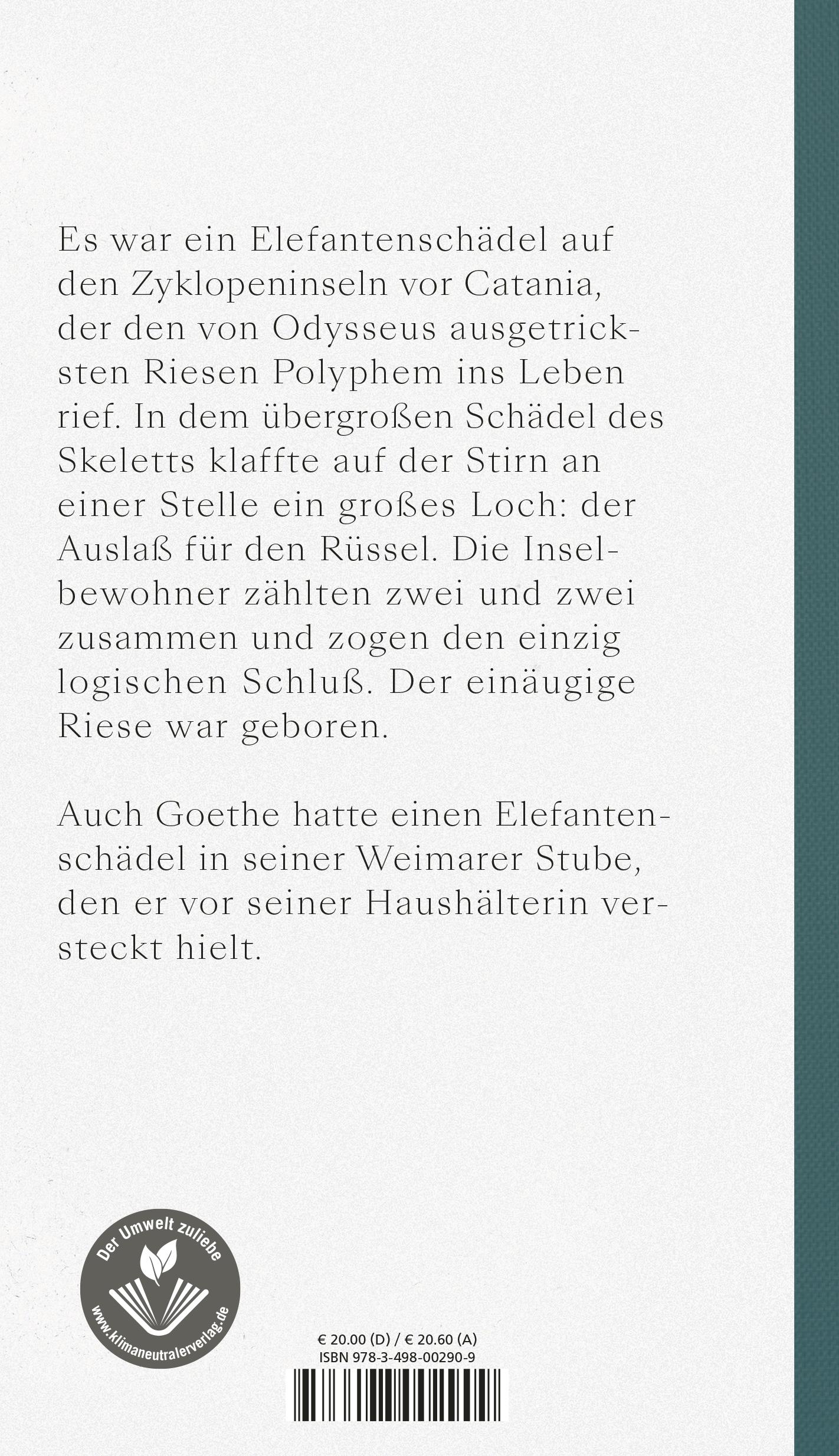 Rückseitencover Fliegenpapier