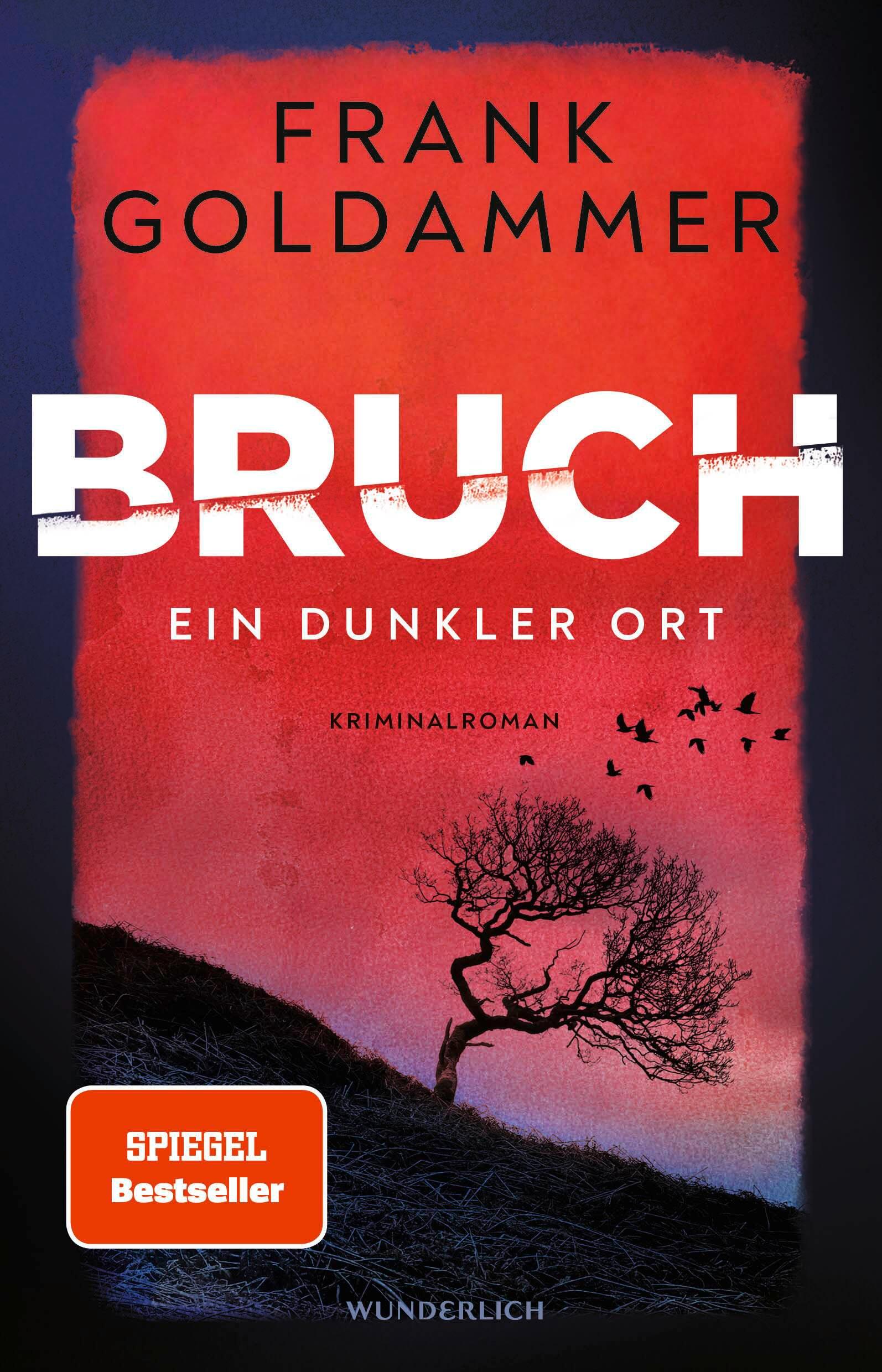 Vorderes Coverbild Bruch: Ein dunkler Ort