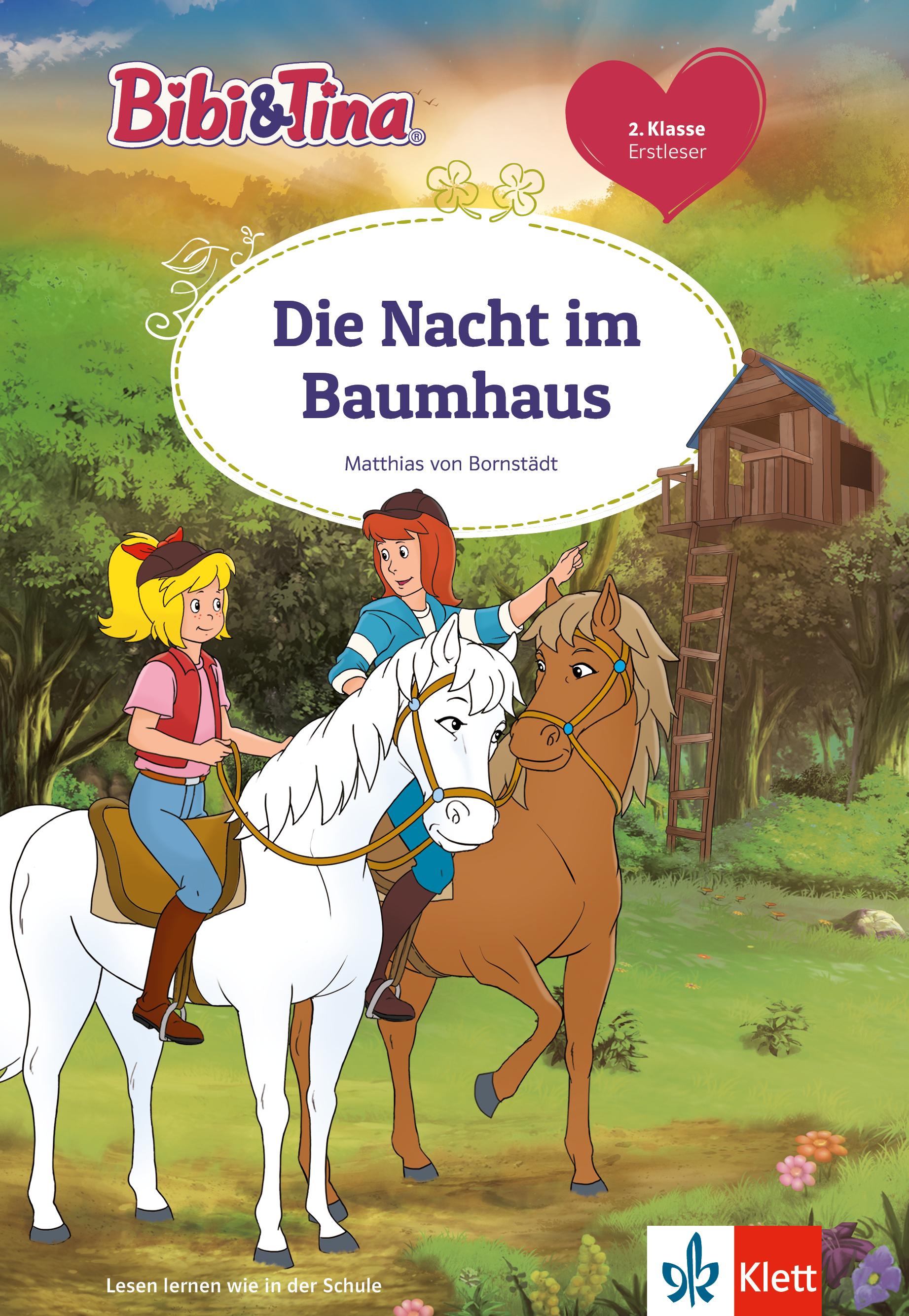 Vorderes Coverbild Bibi & Tina: Die Nacht im Baumhaus